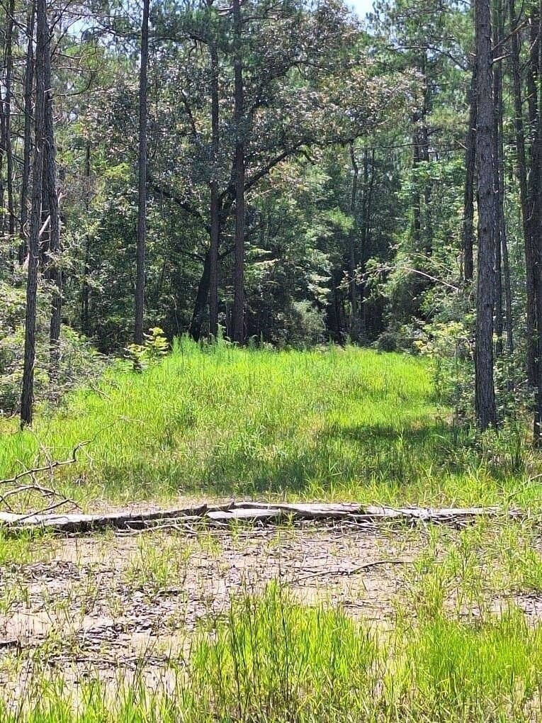 12.42 acres in Texas County - photo 19