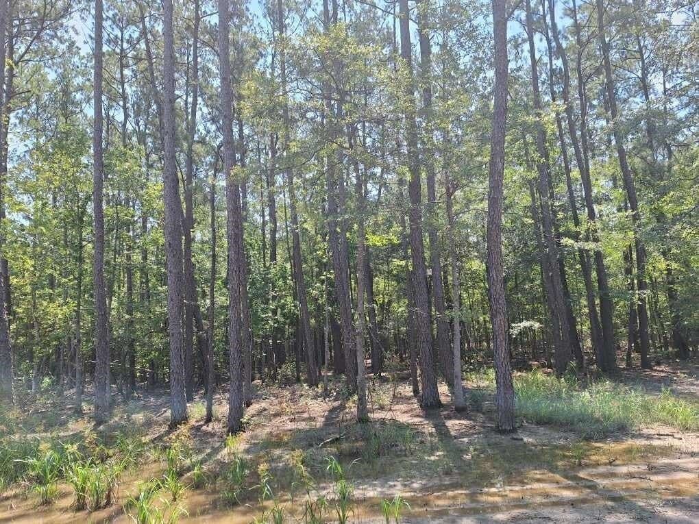12.42 acres in Texas County - photo 13