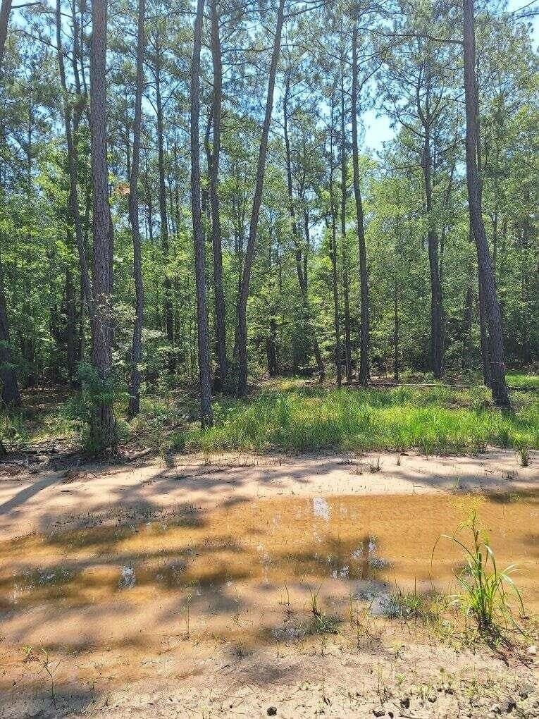 12.42 acres in Texas County - photo 20