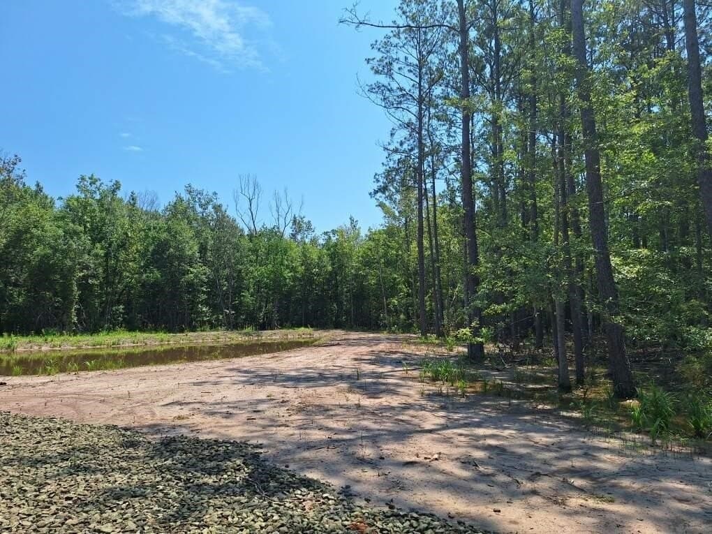12.42 acres in Texas County - photo 10