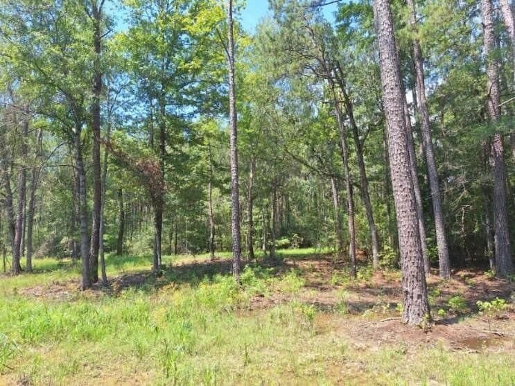 12.42 acres in Texas County - photo 15
