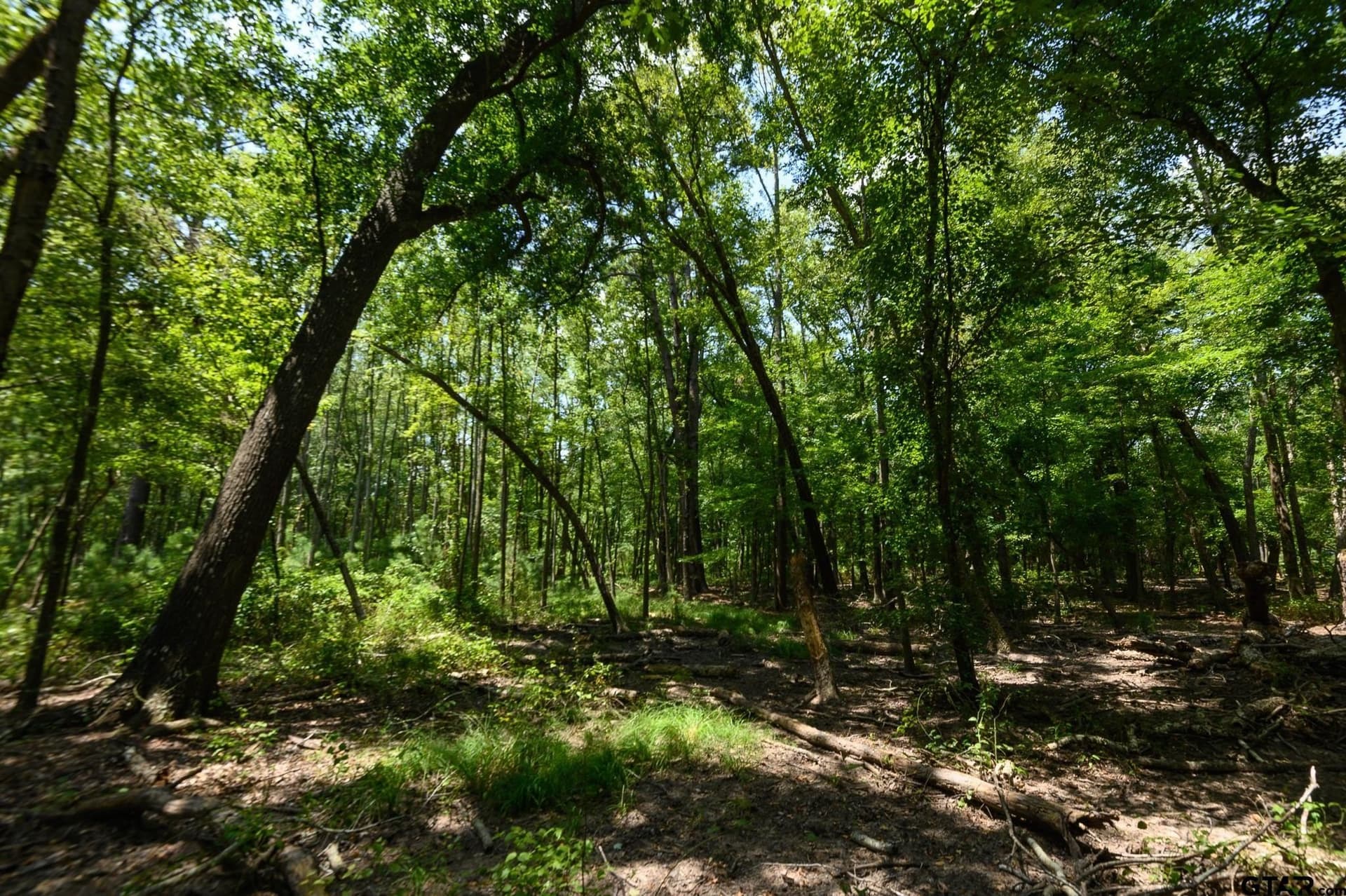 47.04 acres in Cherokee County - photo 46