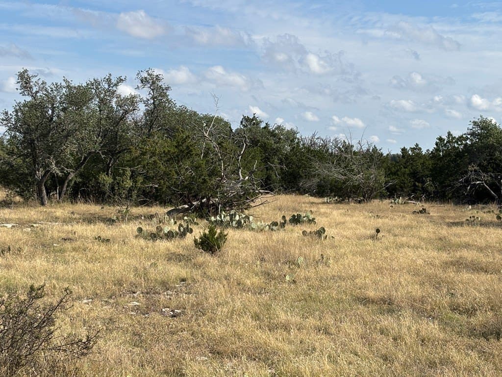 27 acres in Edwards County gallery image 4