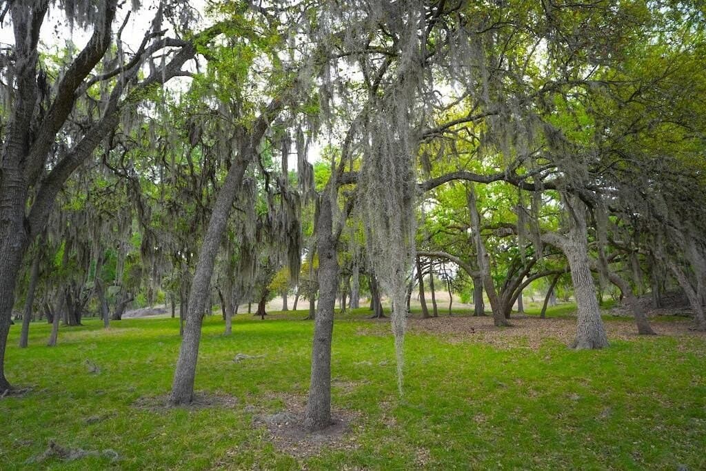 620 acres in Bandera County - photo 17
