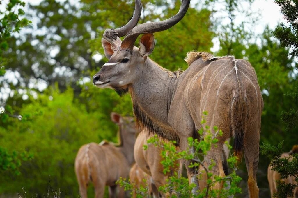 620 acres in Bandera County - photo 18