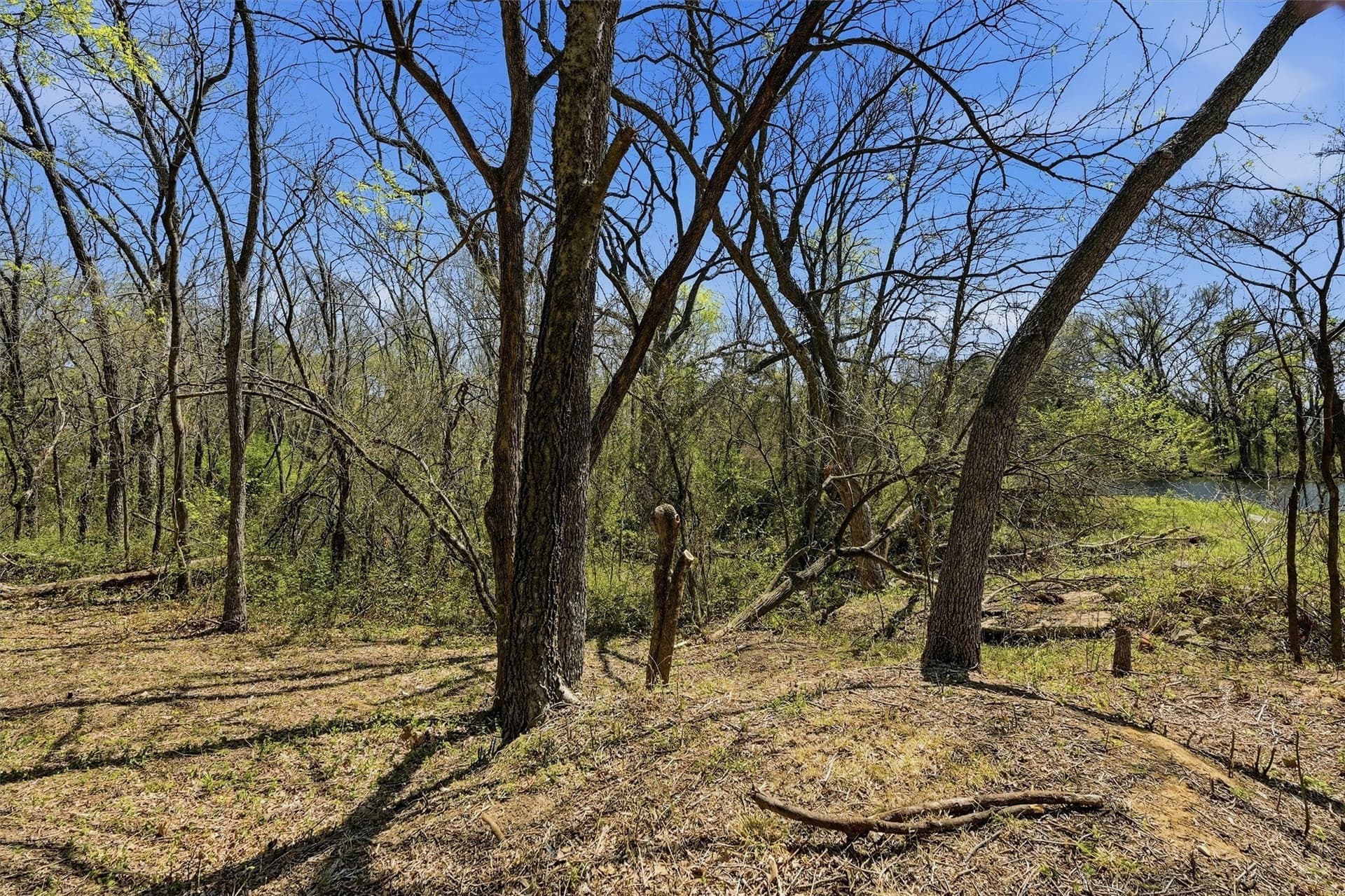 0.28 acres in Grayson County - photo 29