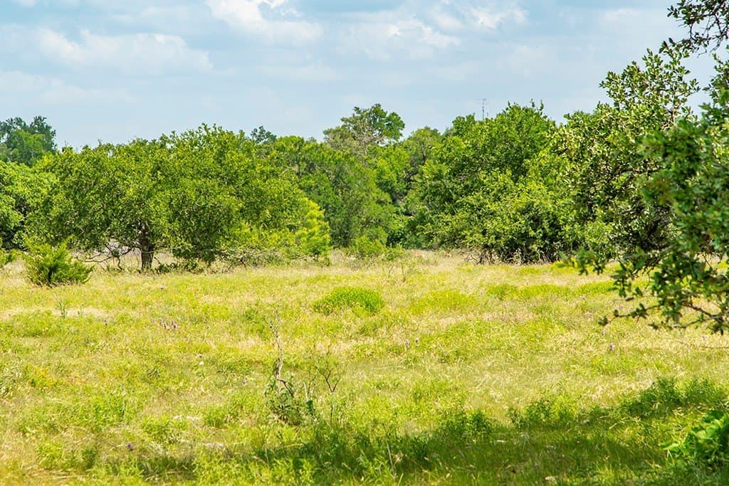 14.85 acres in Gillespie County gallery image 2