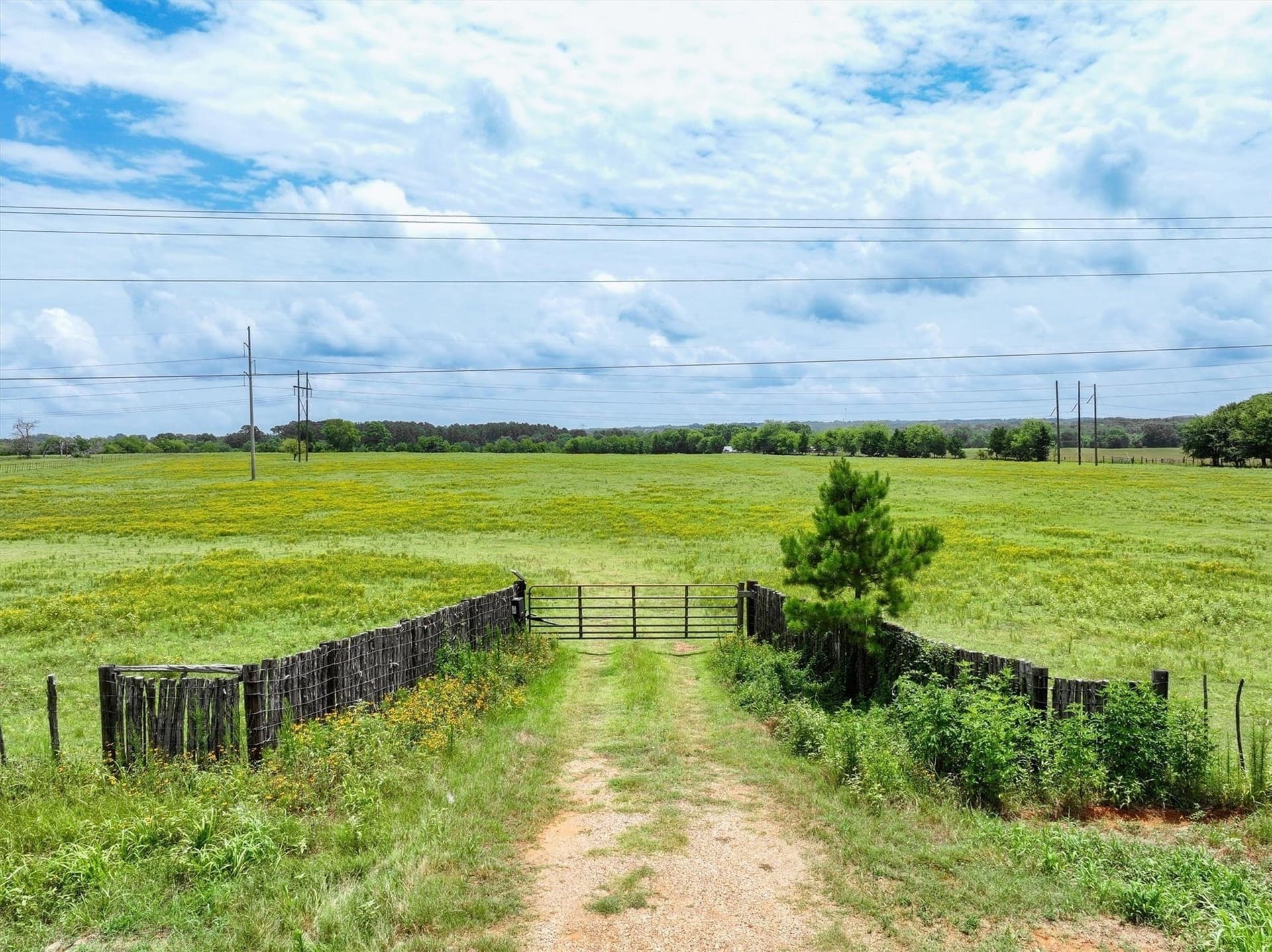 5 acres in Cherokee County gallery image 3