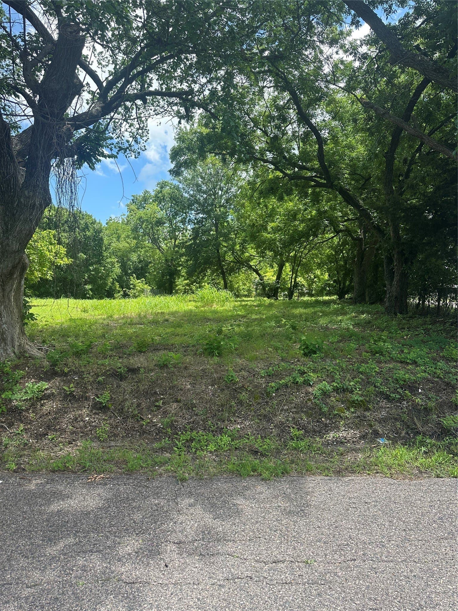 0.5 acres in Fannin County gallery image 3