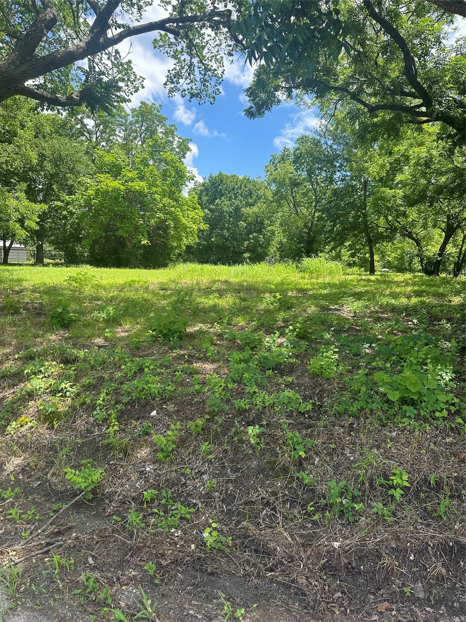 0.5 acres in Fannin County gallery image 2