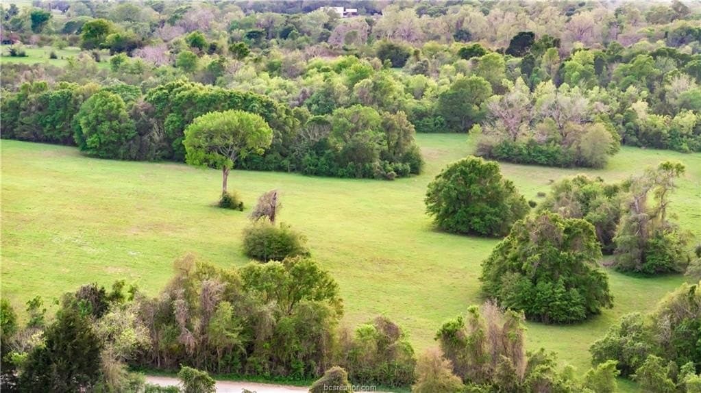 15.14 acres in Washington County gallery image 3