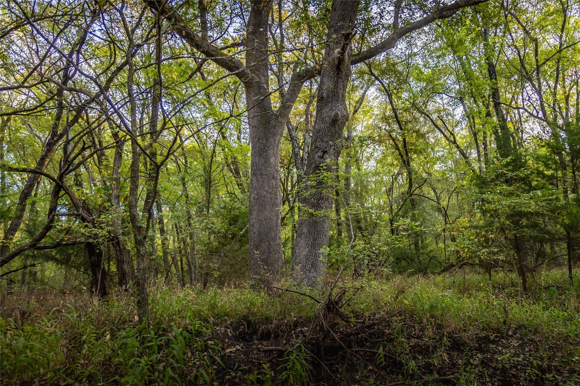 197.58 acres in Delta County - photo 26