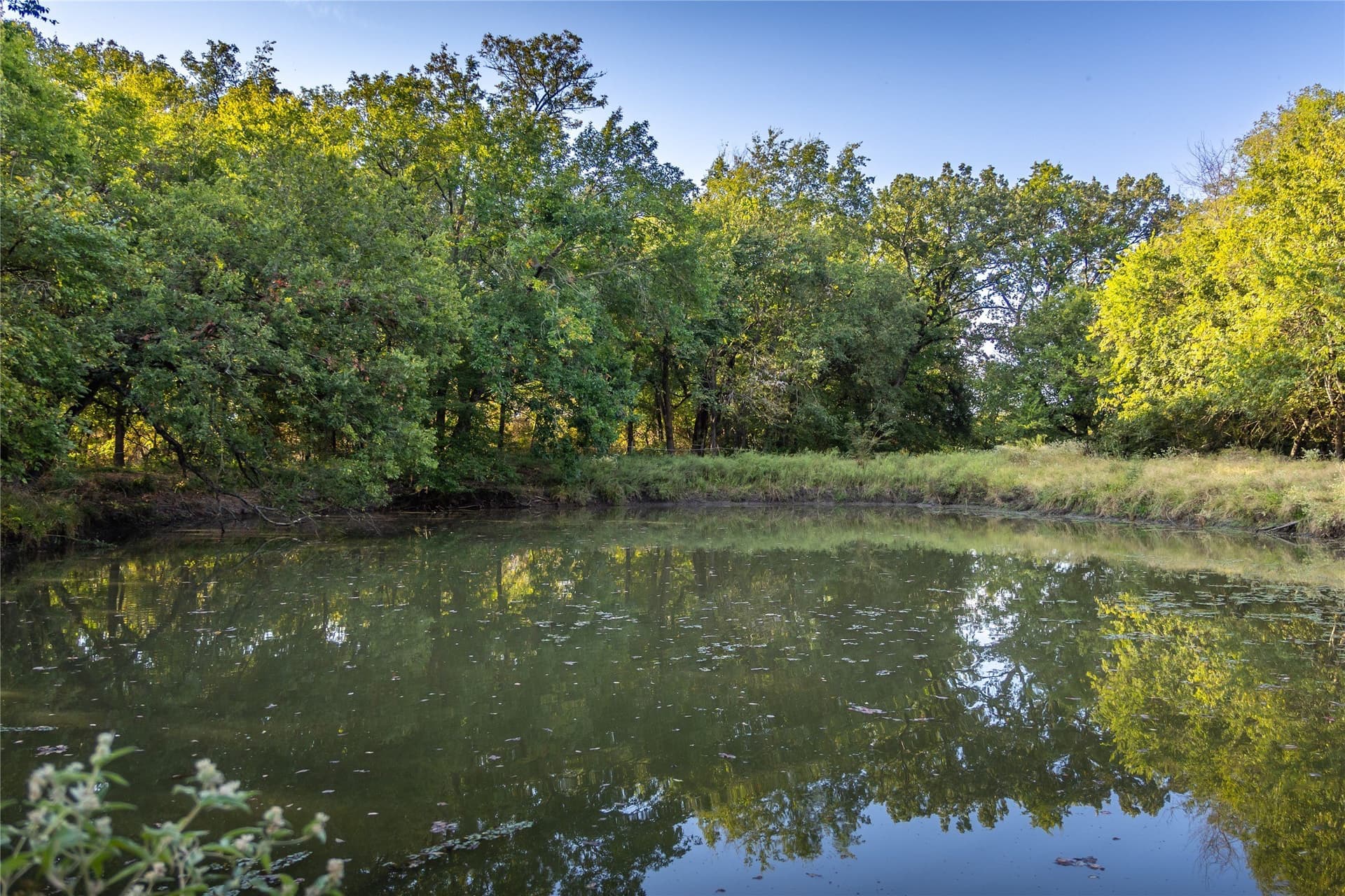 197.58 acres in Delta County - photo 20