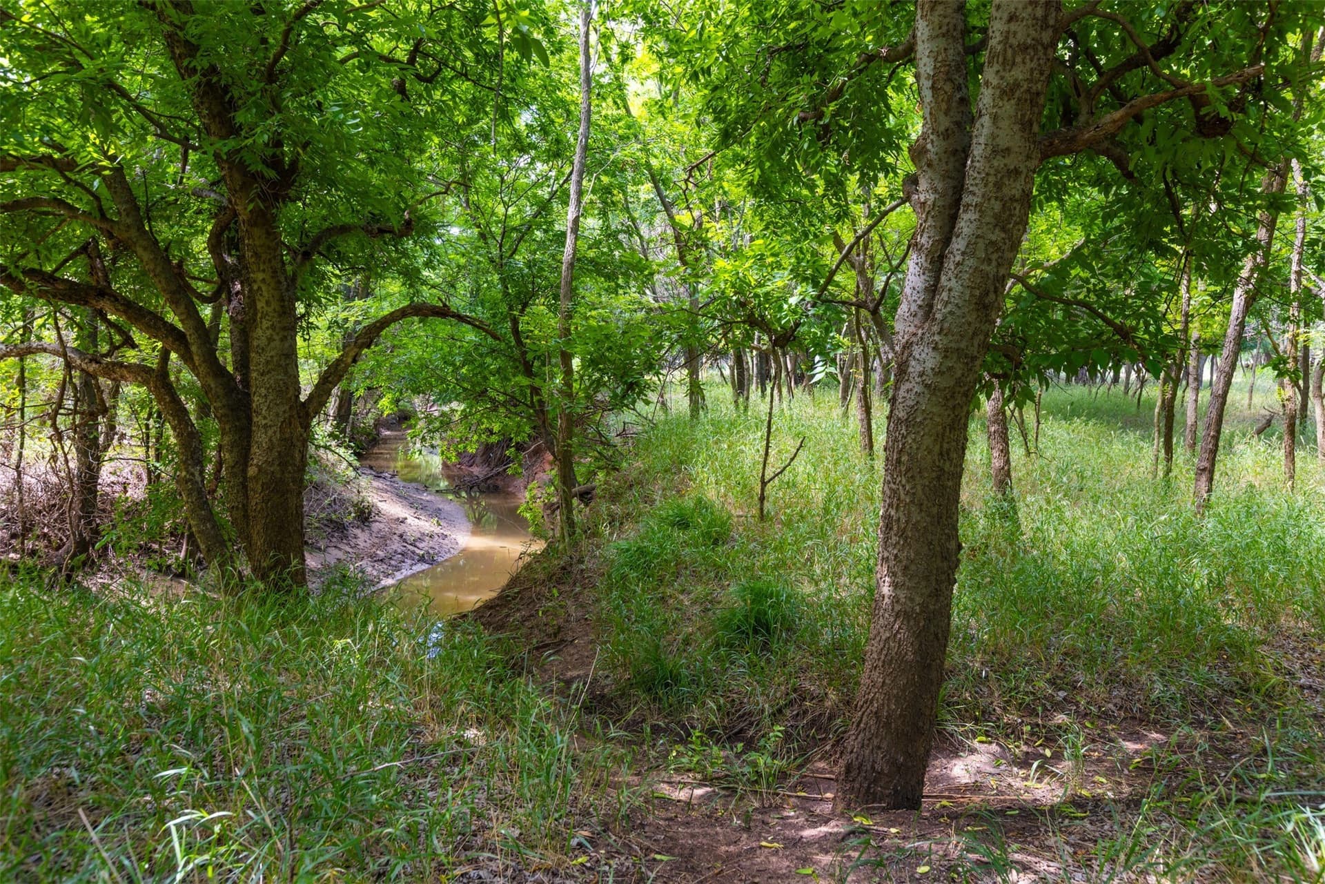 56.04 acres in Young County - photo 28