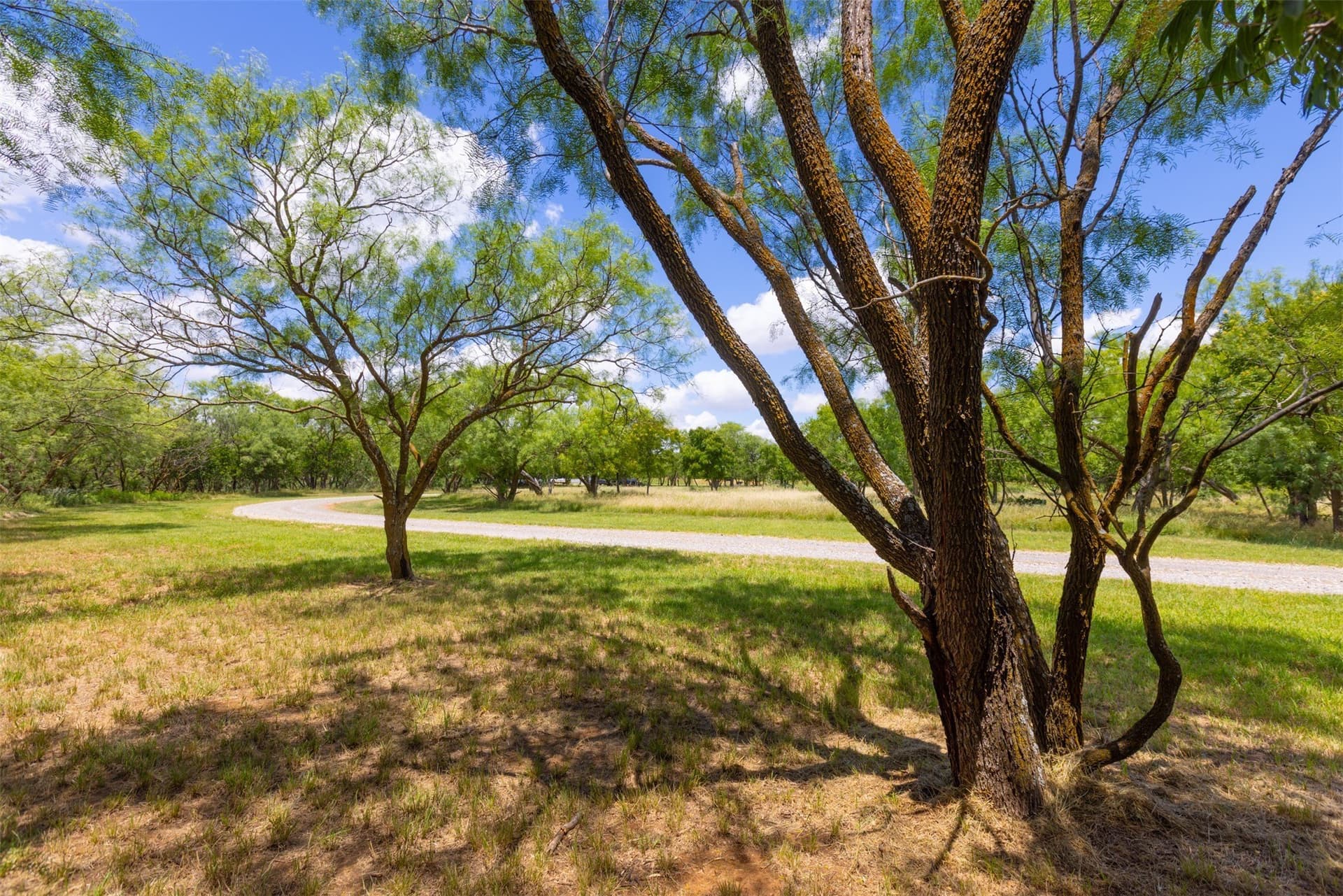 56.04 acres in Young County - photo 32