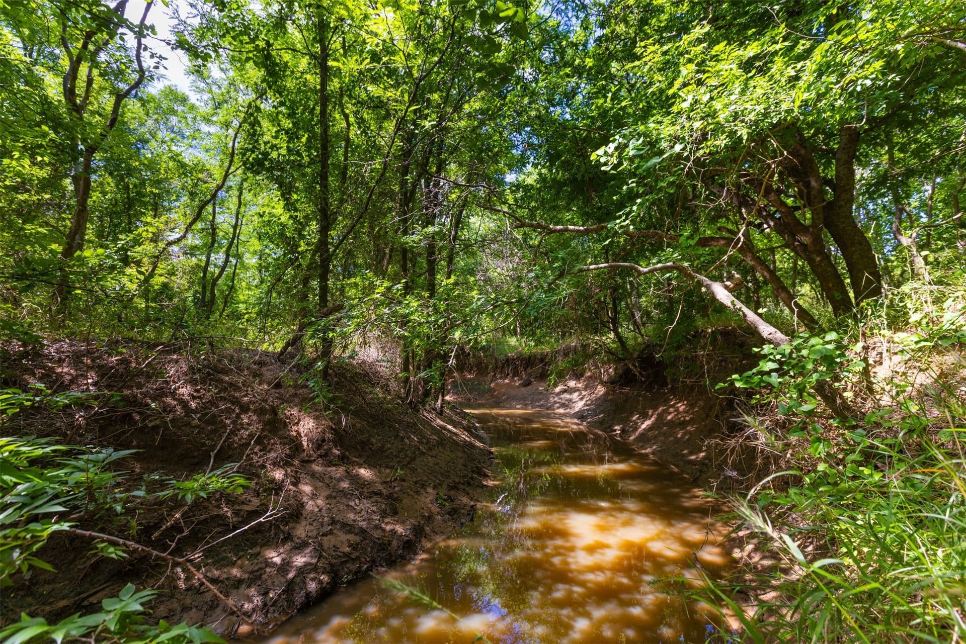 56.04 acres in Young County - photo 27