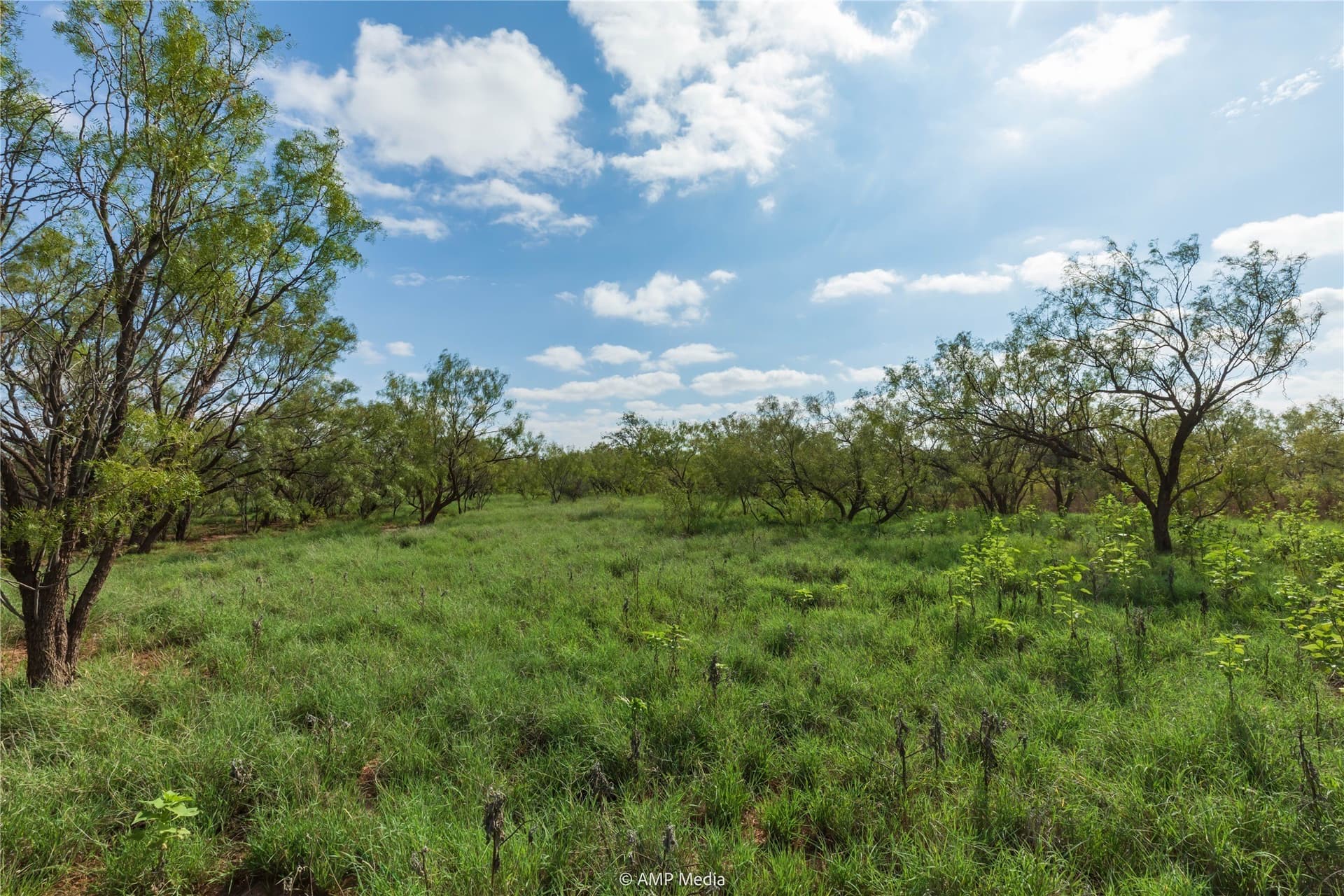 960 acres in Mitchell County - photo 14