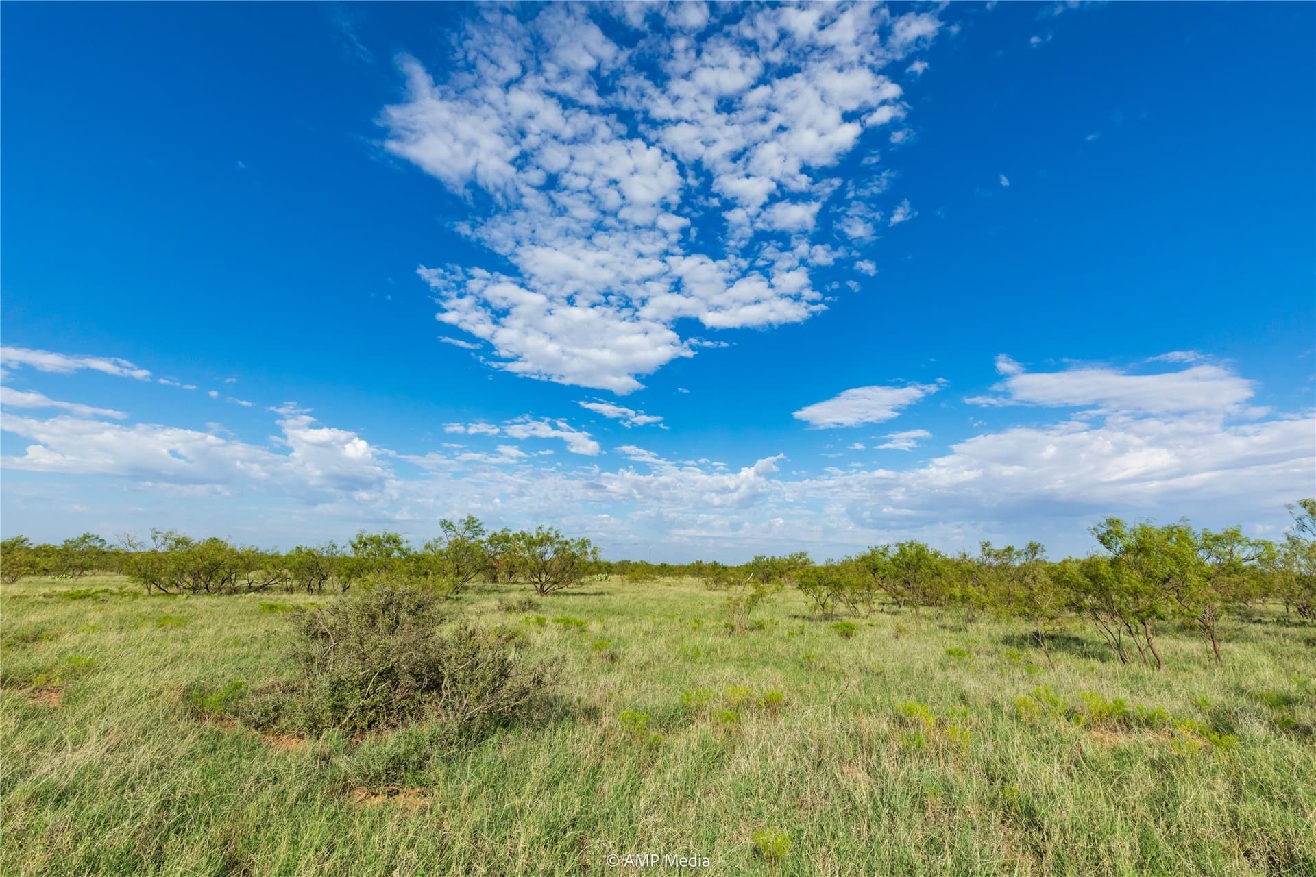 960 acres in Mitchell County - photo 13