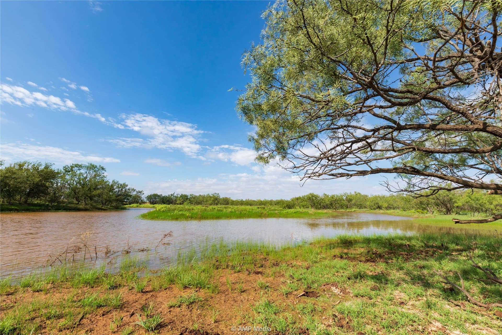 960 acres in Mitchell County - photo 28