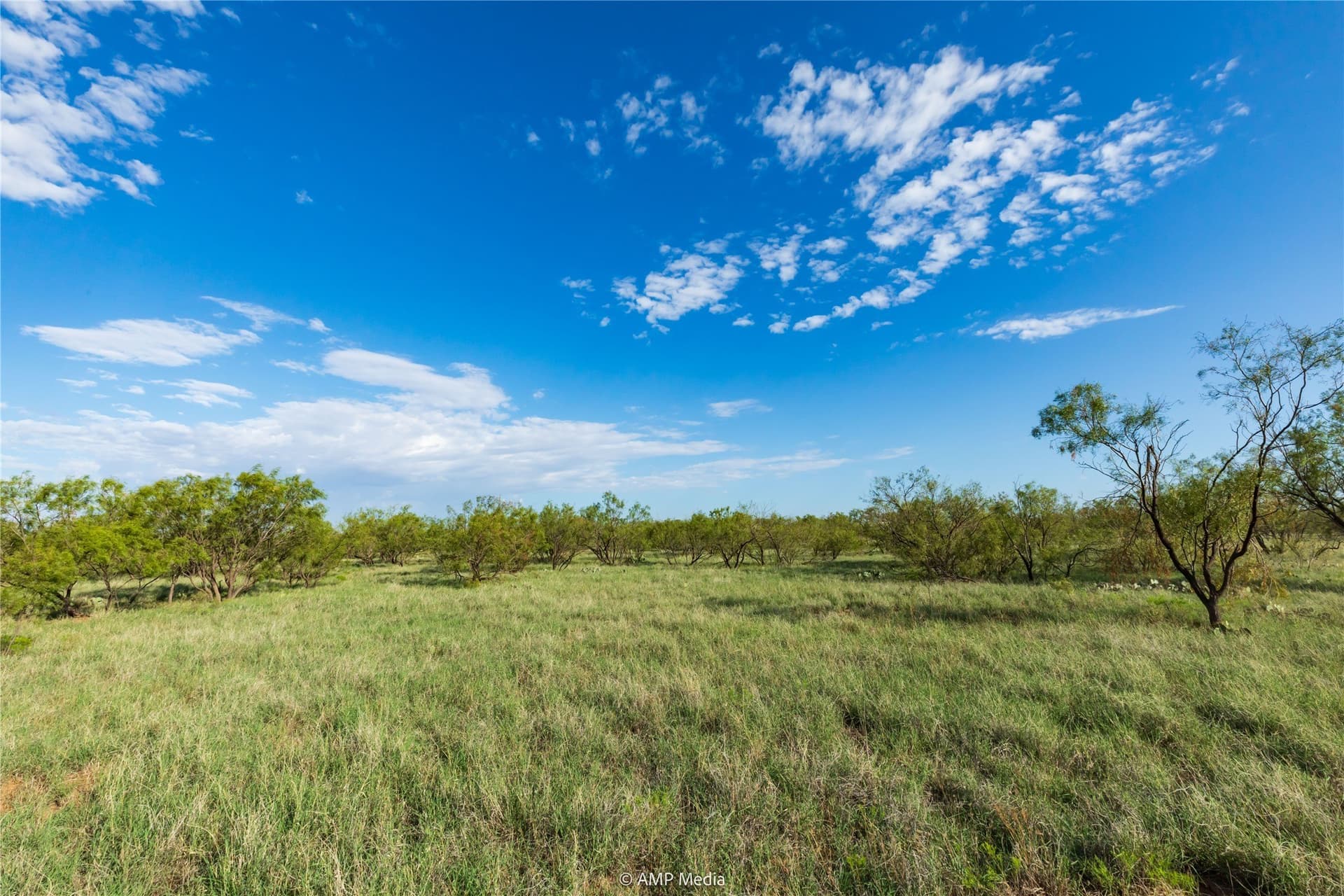 960 acres in Mitchell County - photo 10