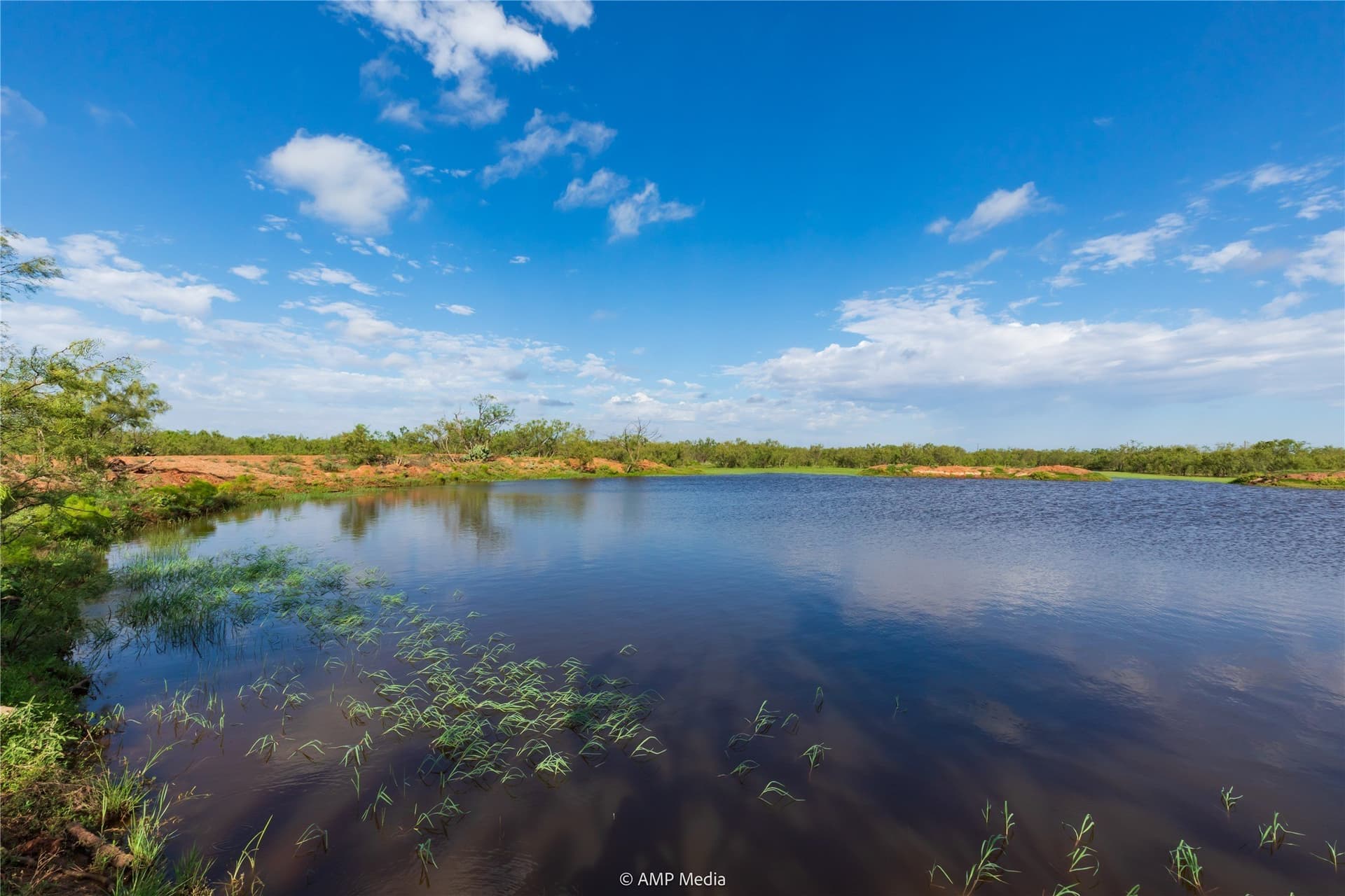 960 acres in Mitchell County - photo 16