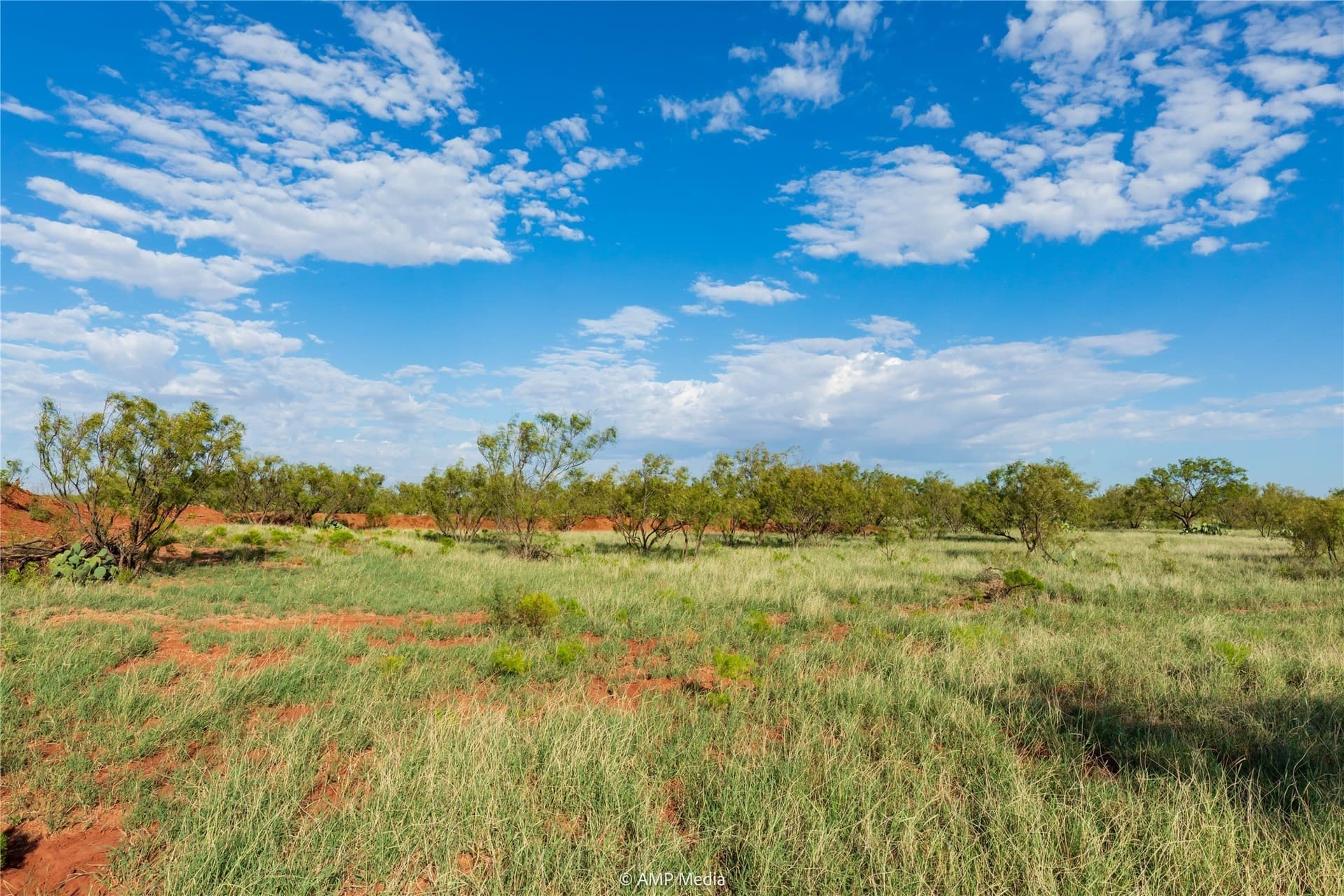 960 acres in Mitchell County - photo 7