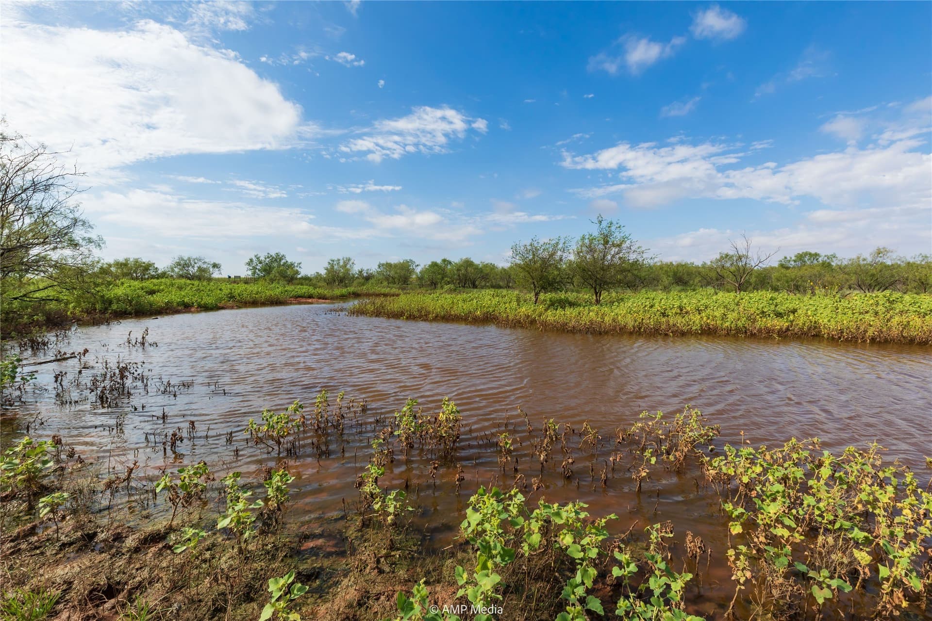 960 acres in Mitchell County - photo 35
