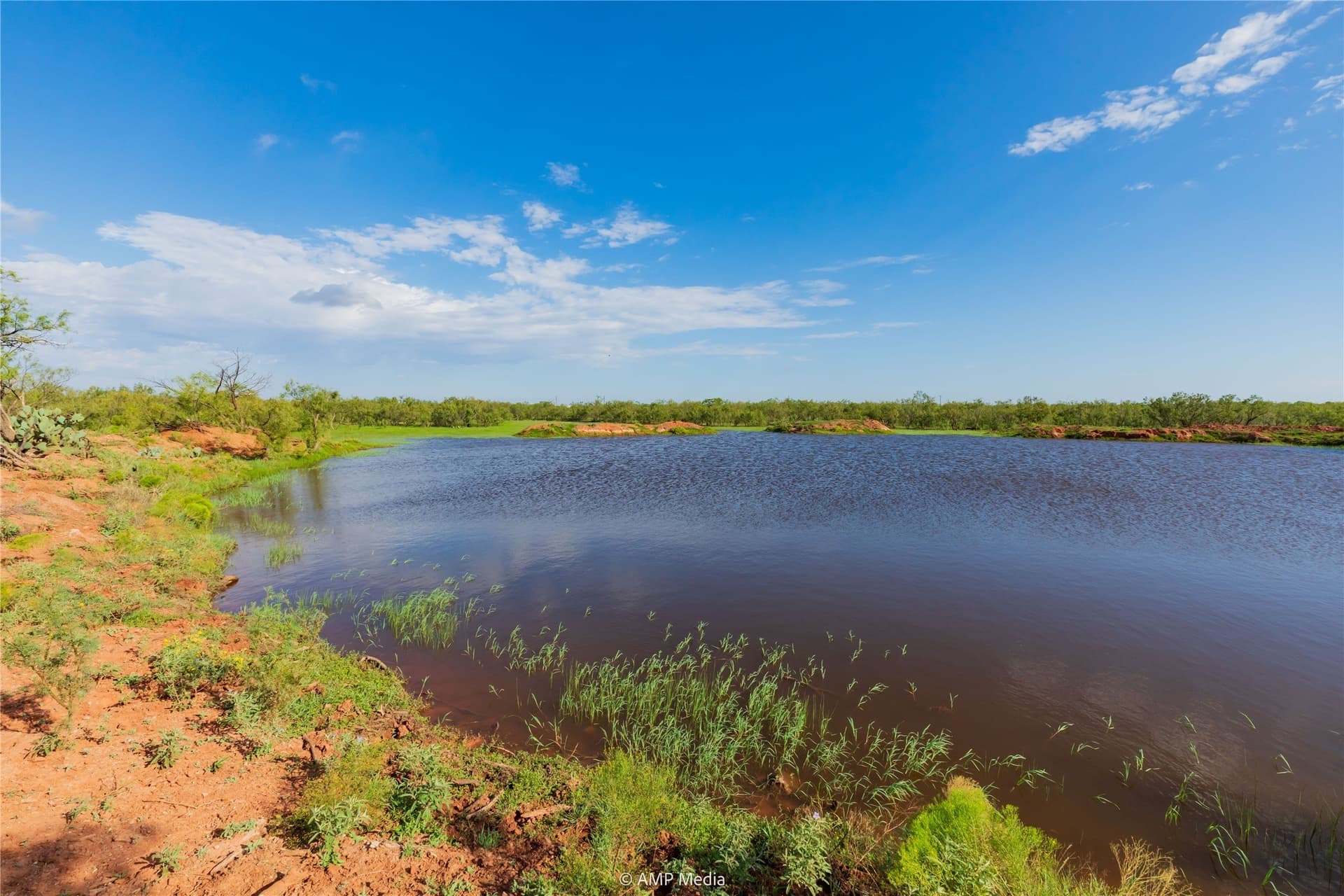 960 acres in Mitchell County - photo 15