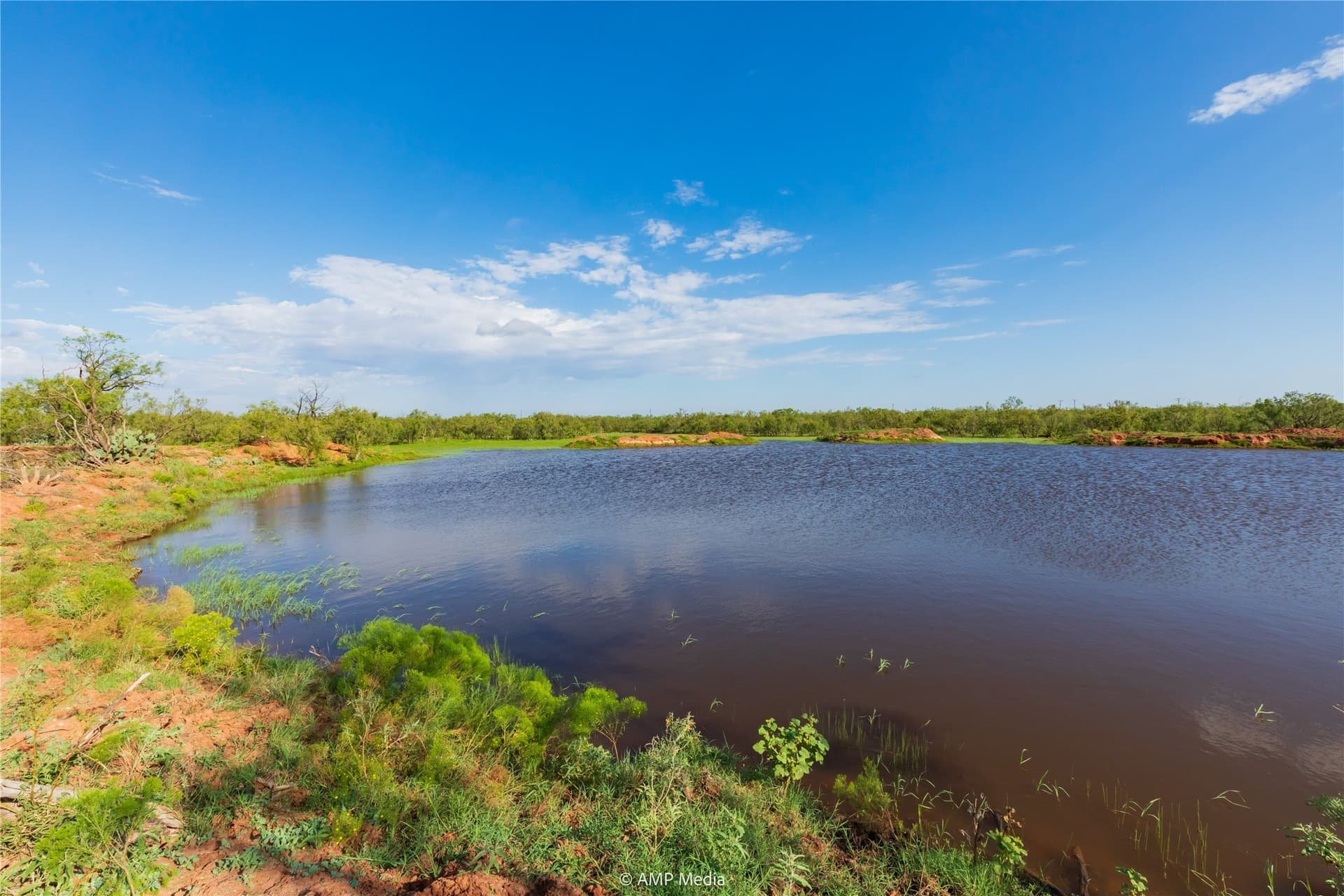 960 acres in Mitchell County - photo 19