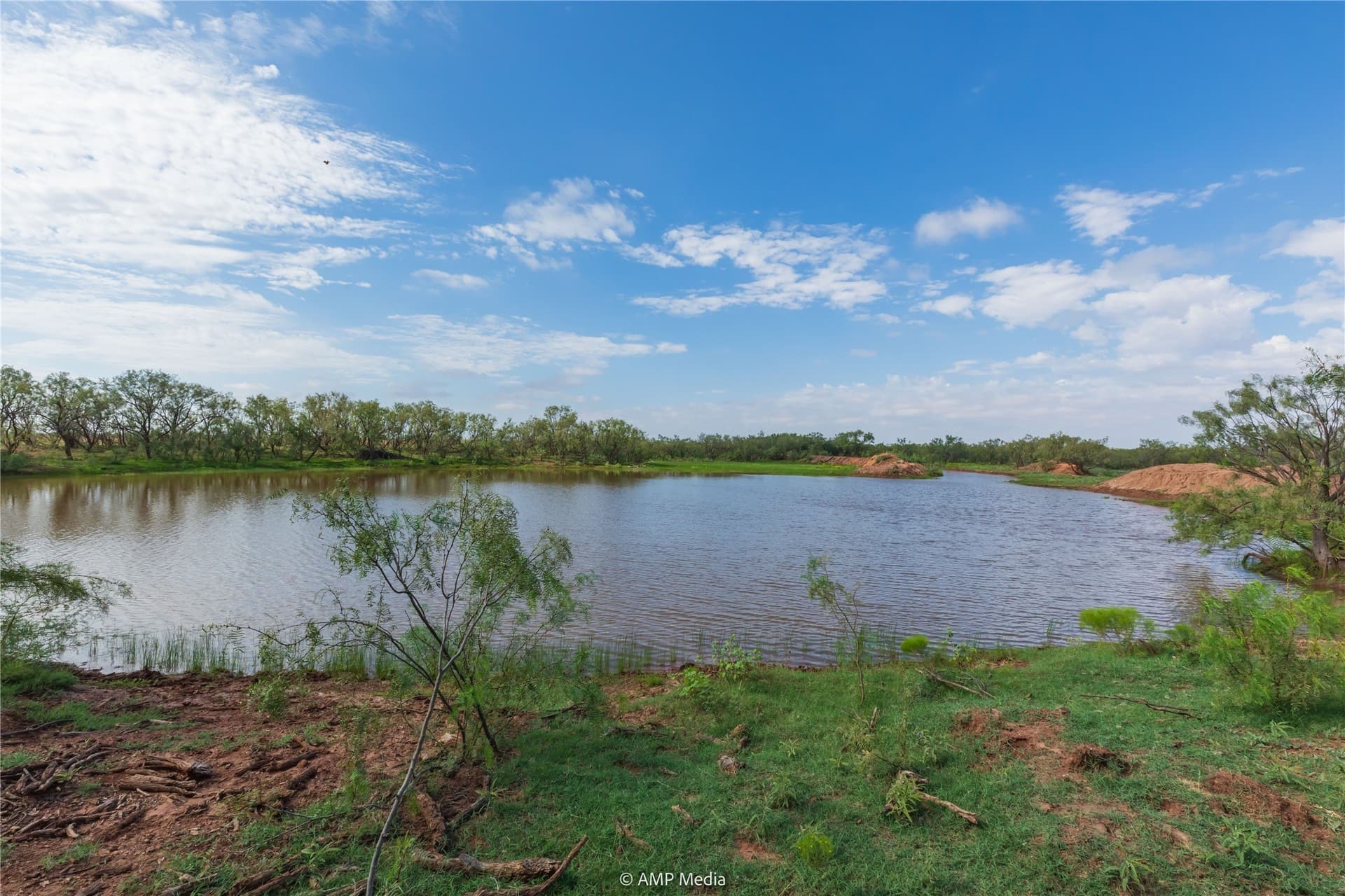 960 acres in Mitchell County - photo 20