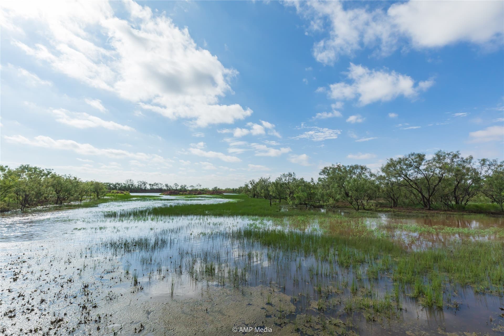 960 acres in Mitchell County - photo 22