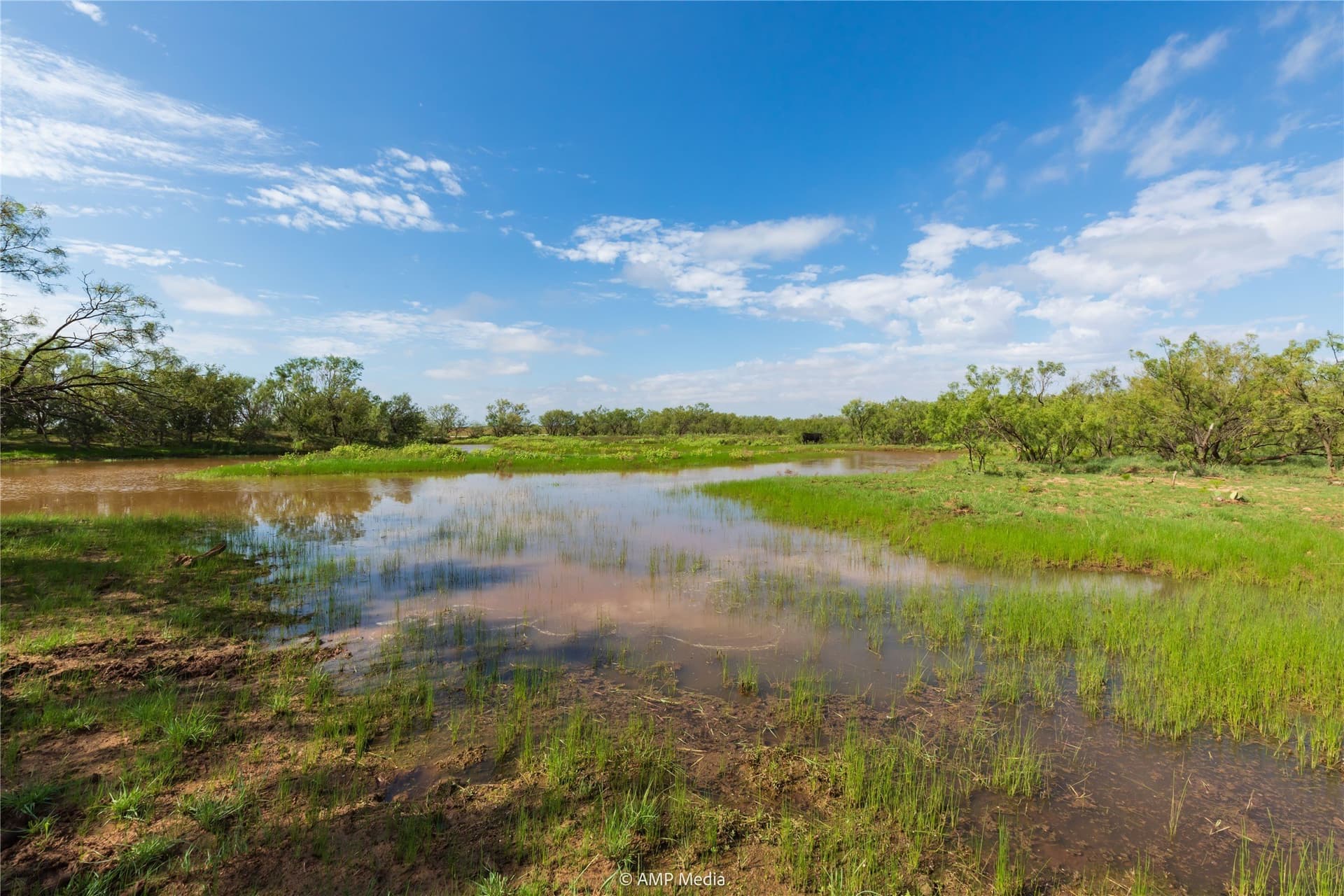 960 acres in Mitchell County - photo 26