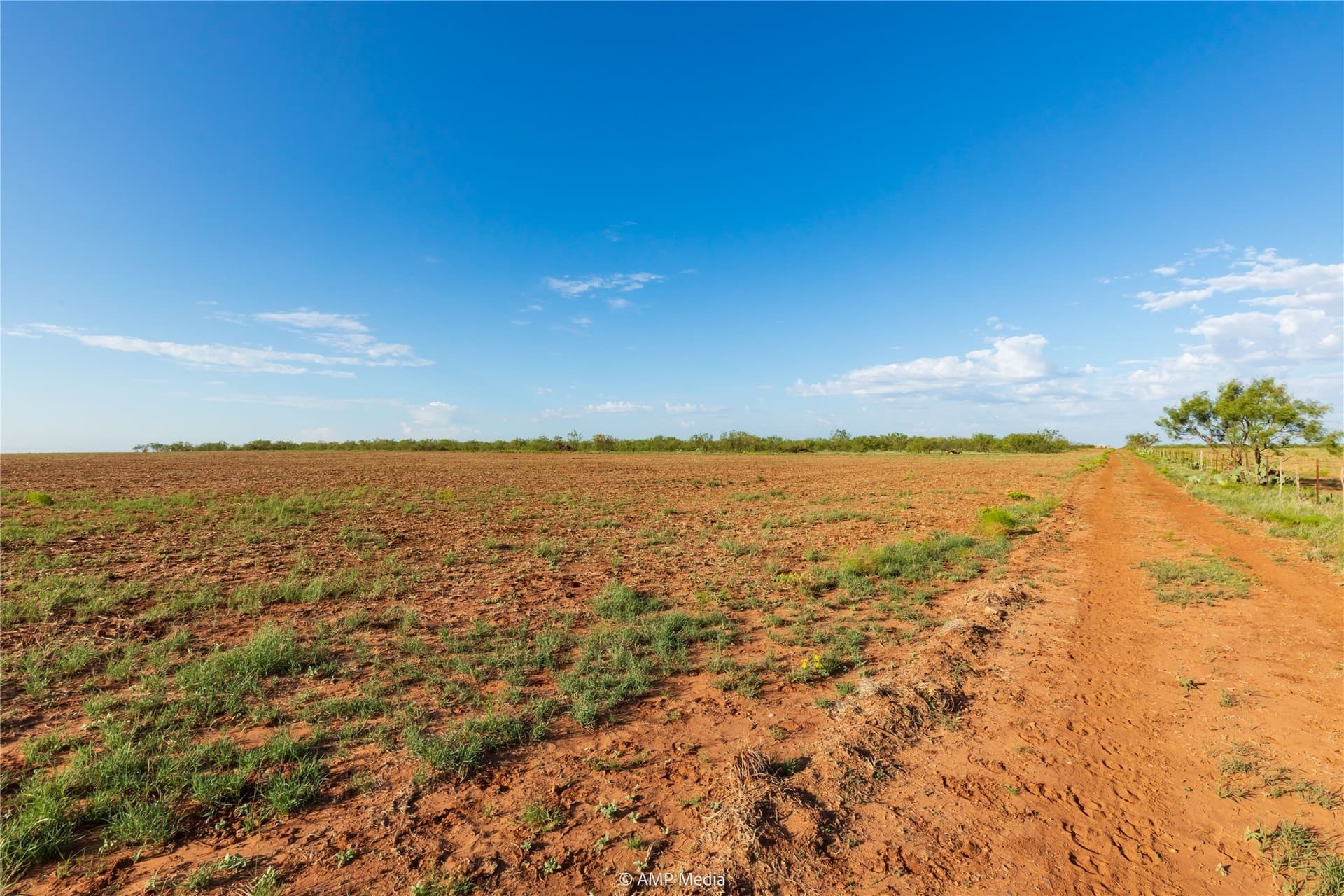 960 acres in Mitchell County gallery image 4