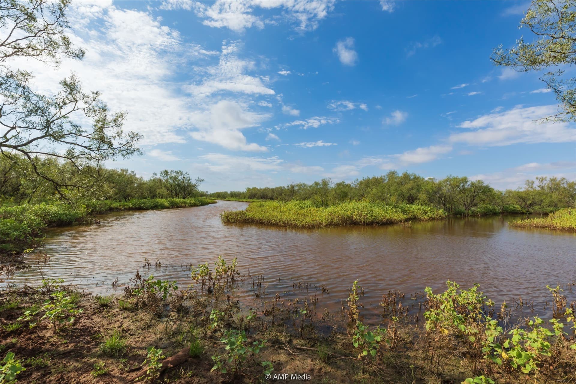 960 acres in Mitchell County - photo 33