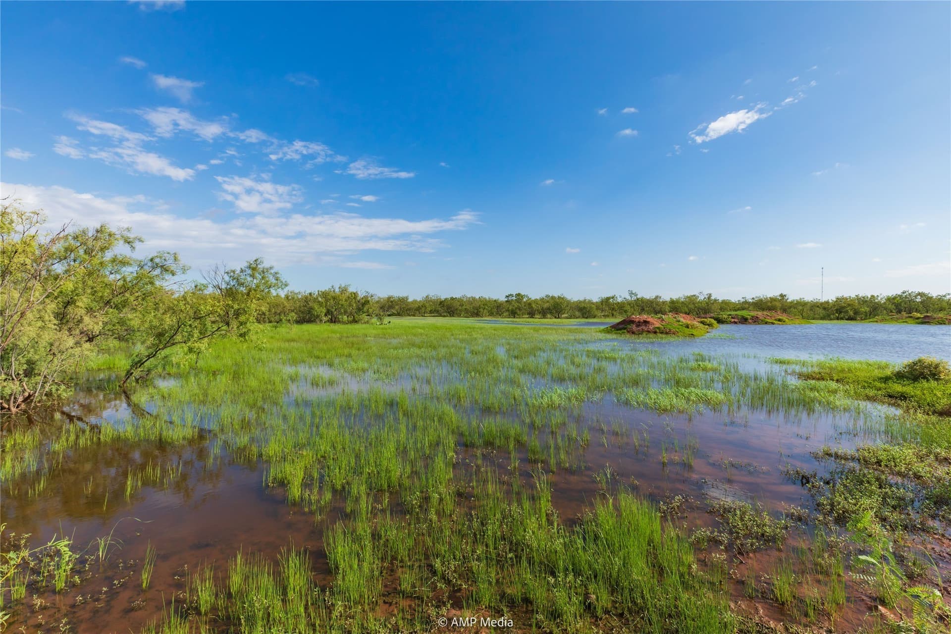 960 acres in Mitchell County - photo 21