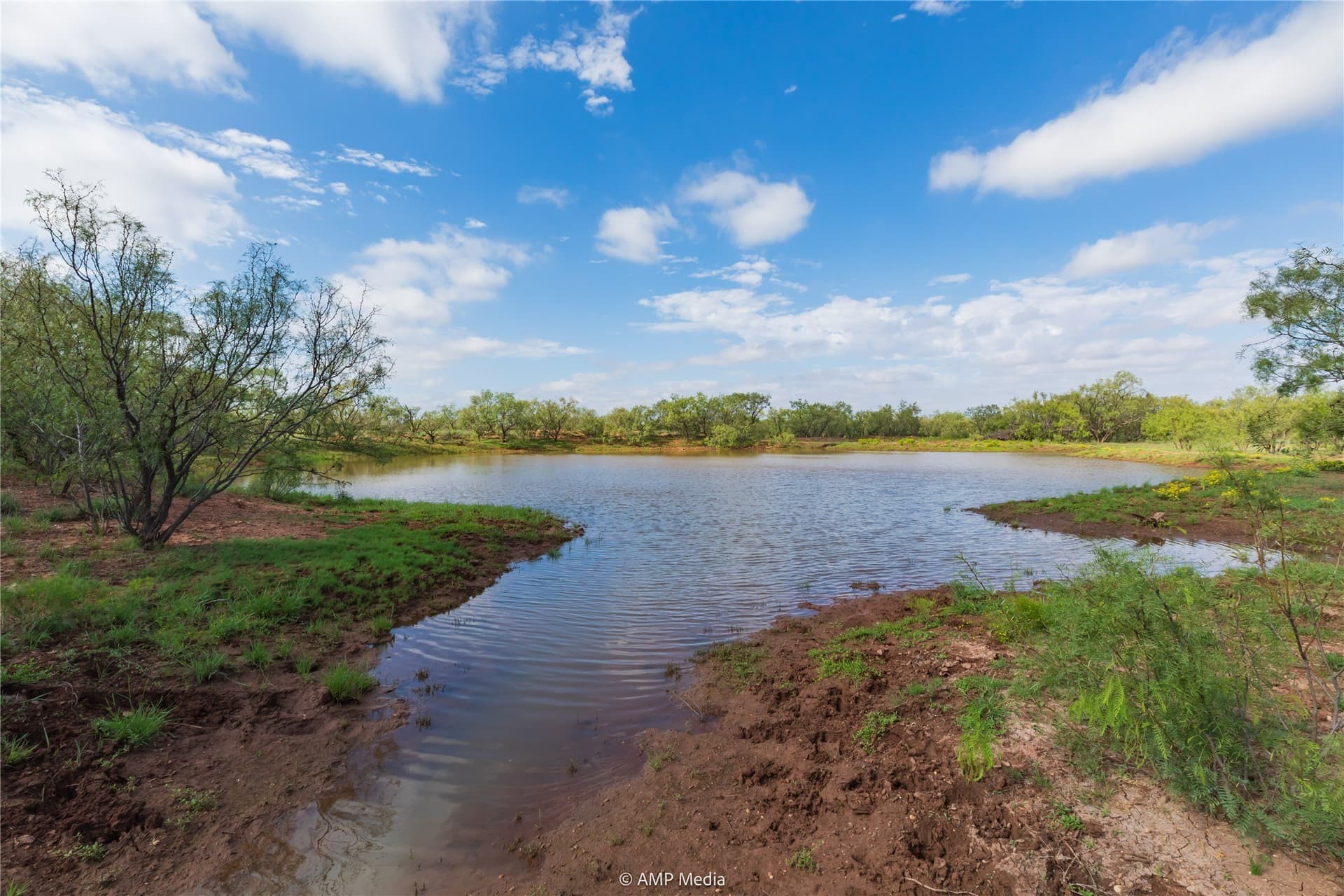 960 acres in Mitchell County - photo 25