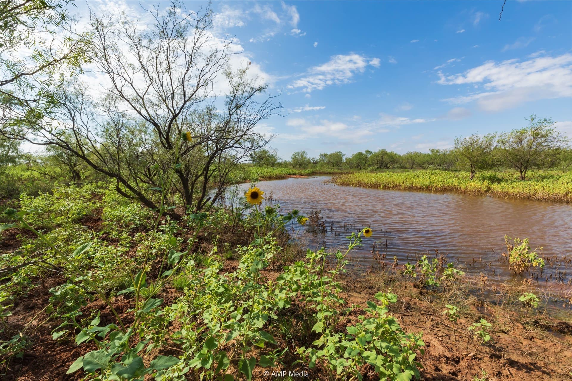 960 acres in Mitchell County - photo 34