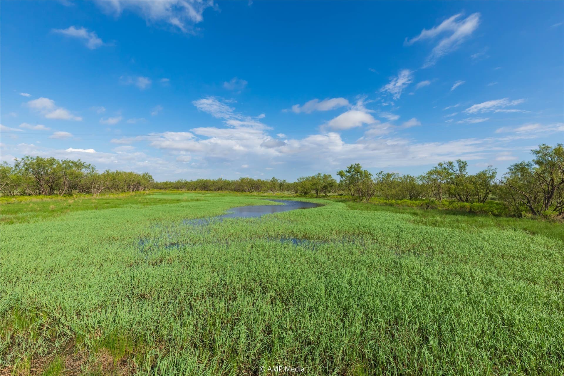 960 acres in Mitchell County - photo 23