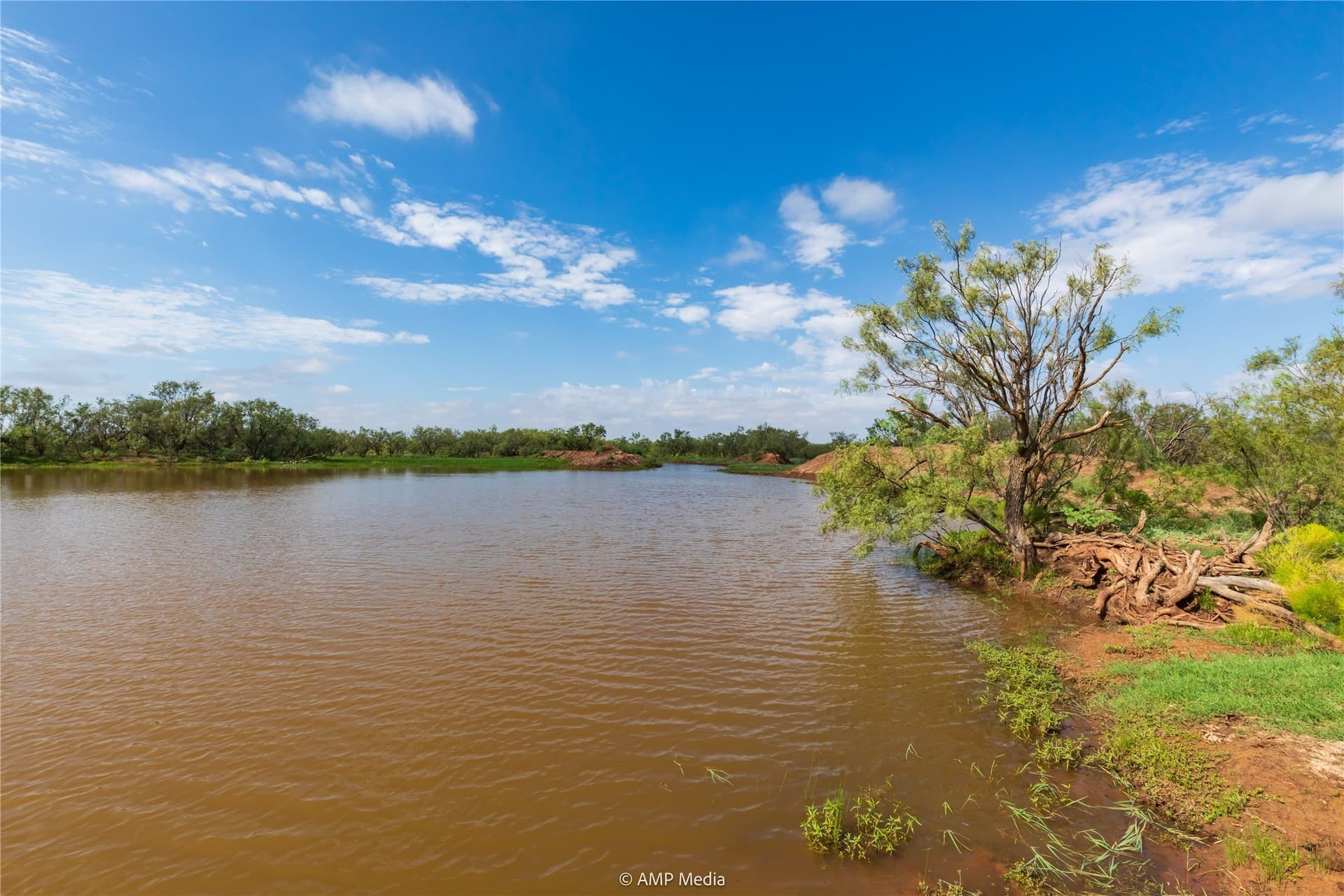 960 acres in Mitchell County - photo 29
