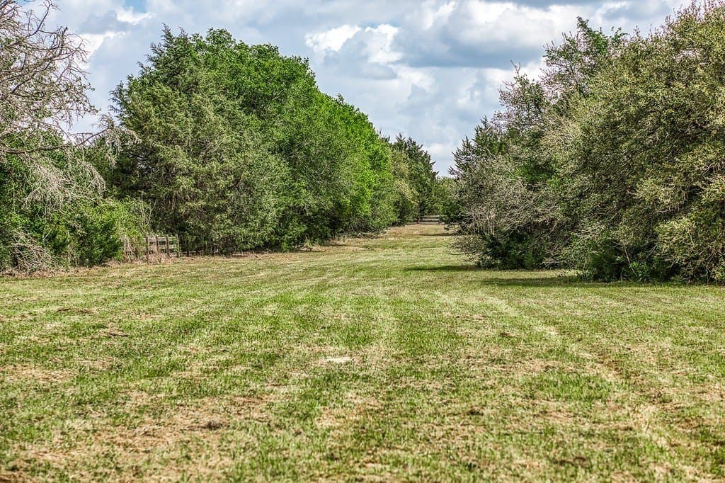 20 acres in Washington County - photo 11