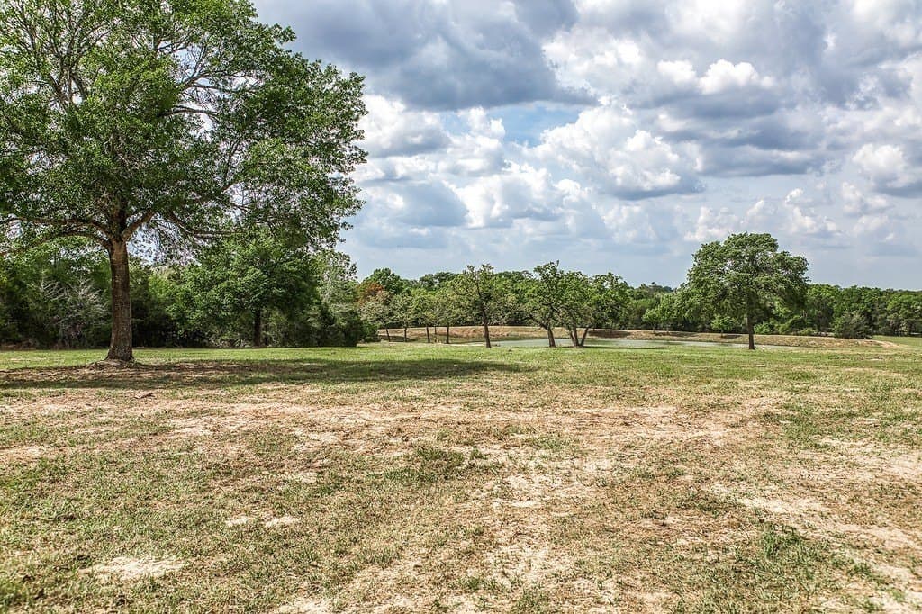 20 acres in Washington County - photo 7