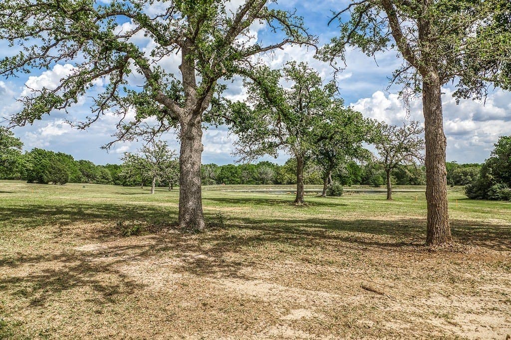 20 acres in Washington County - photo 9