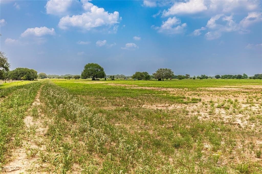 50 acres in Colorado County featured view