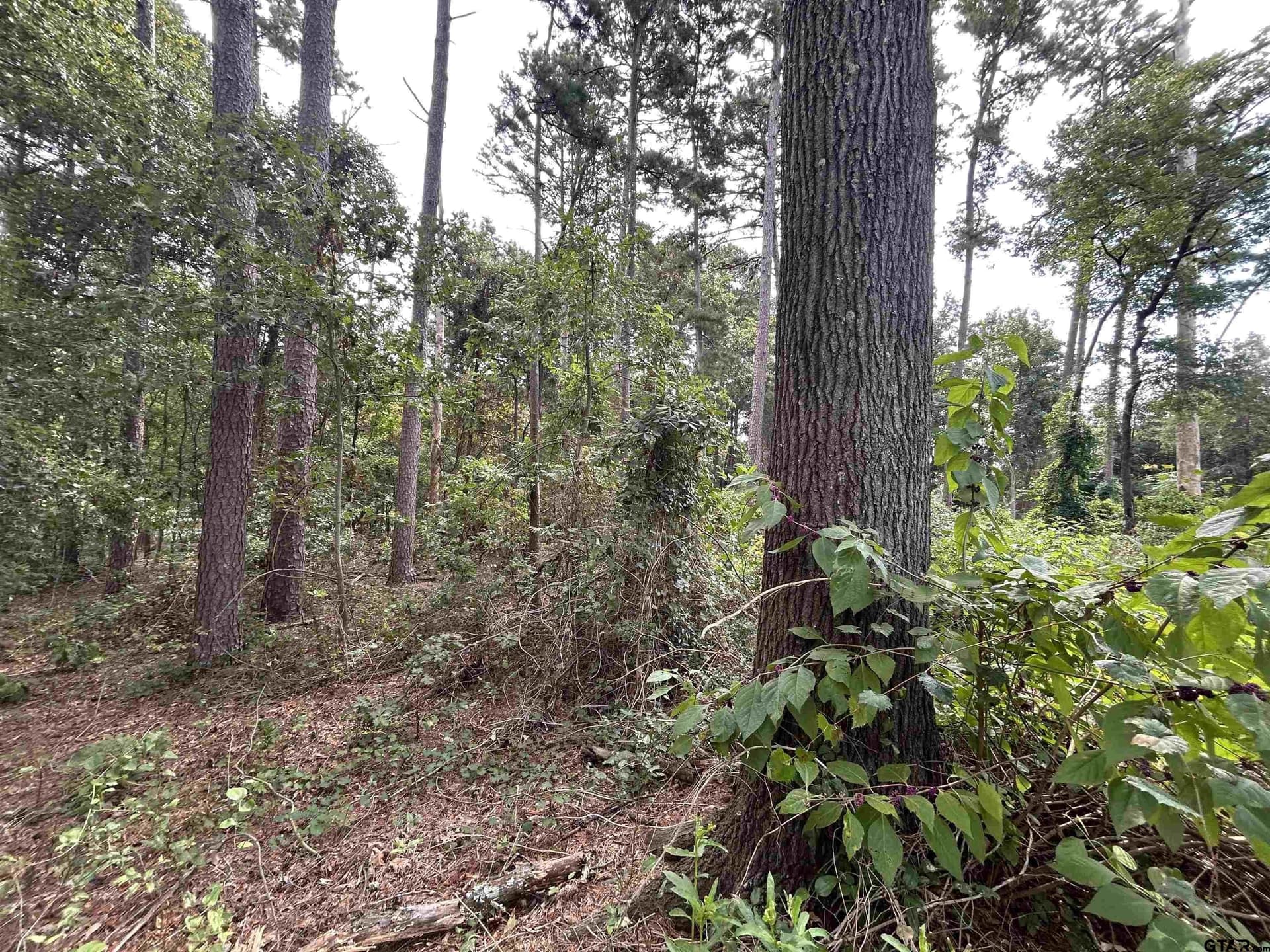 0.29 acres in Franklin County - photo 24