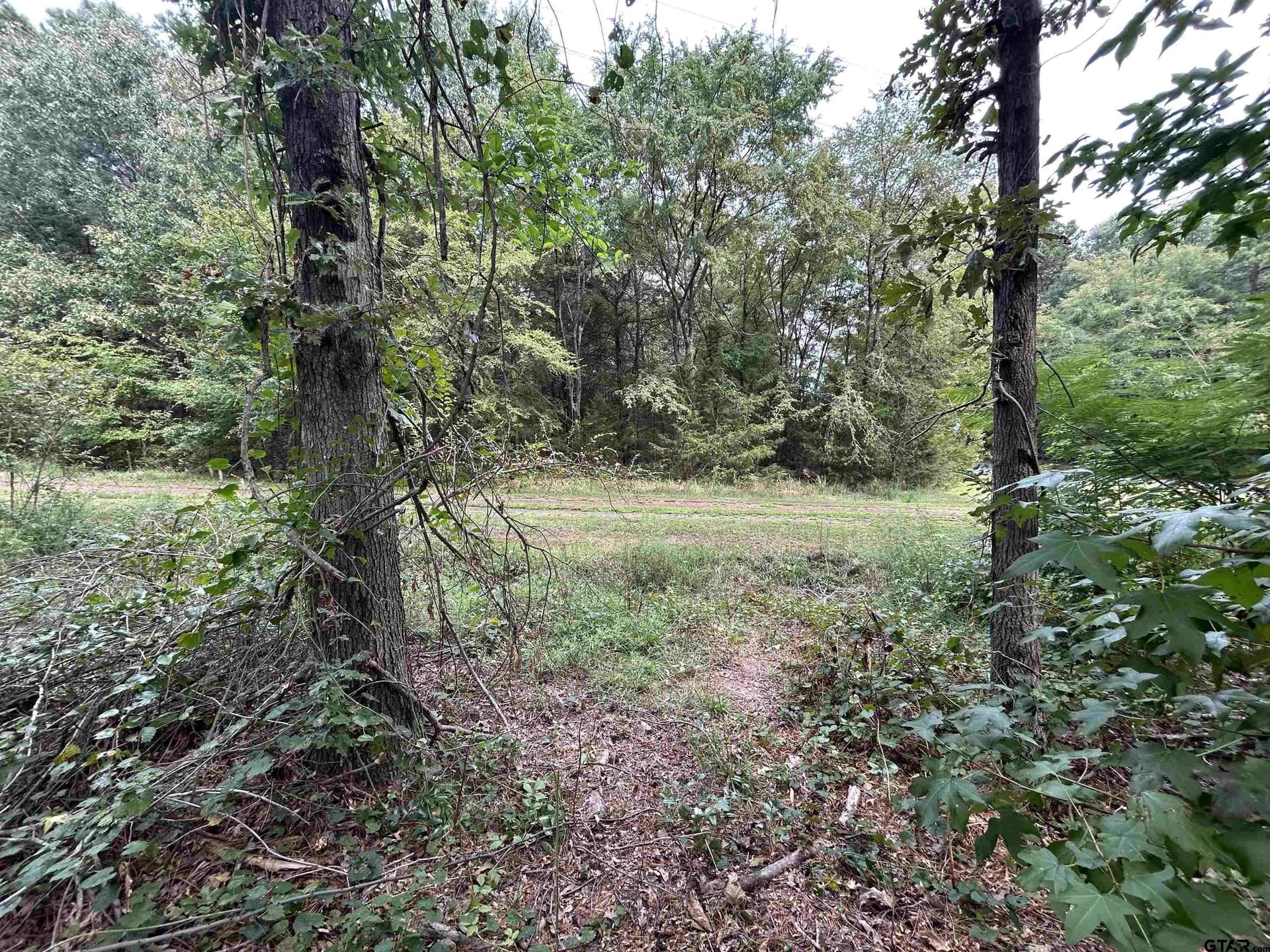0.29 acres in Franklin County - photo 20