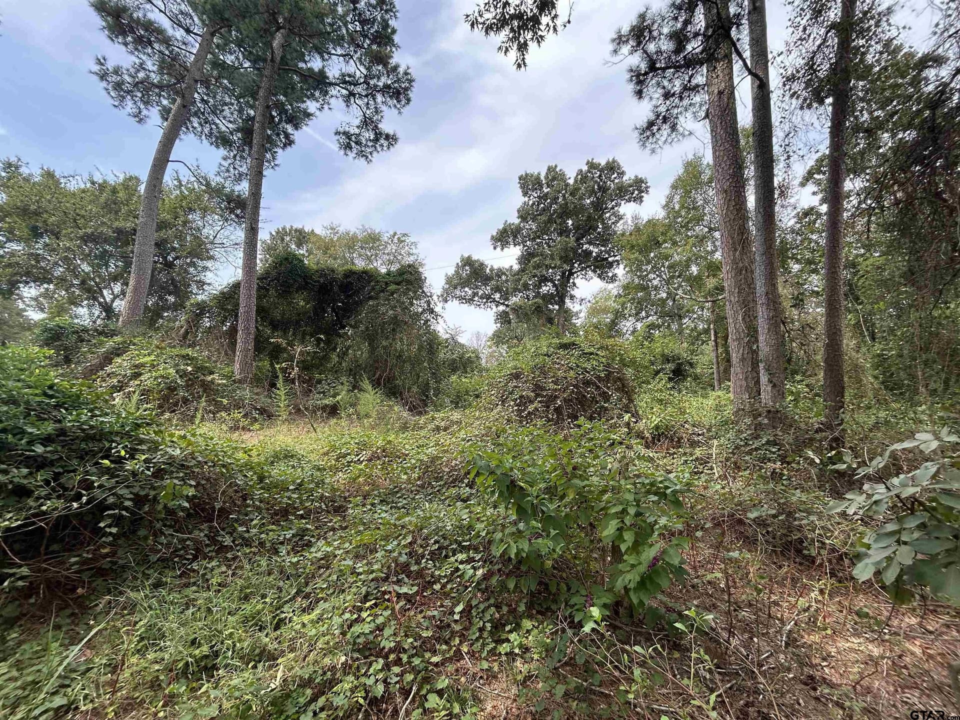 0.29 acres in Franklin County - photo 27