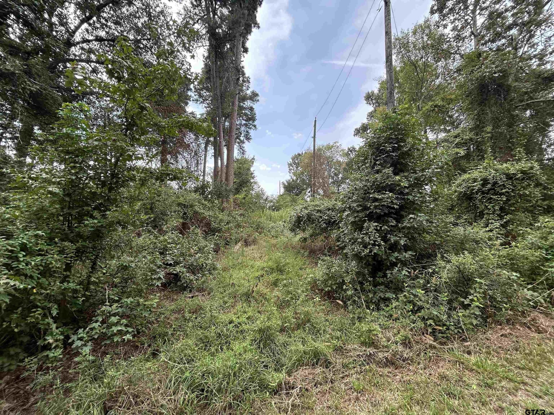 0.29 acres in Franklin County - photo 25