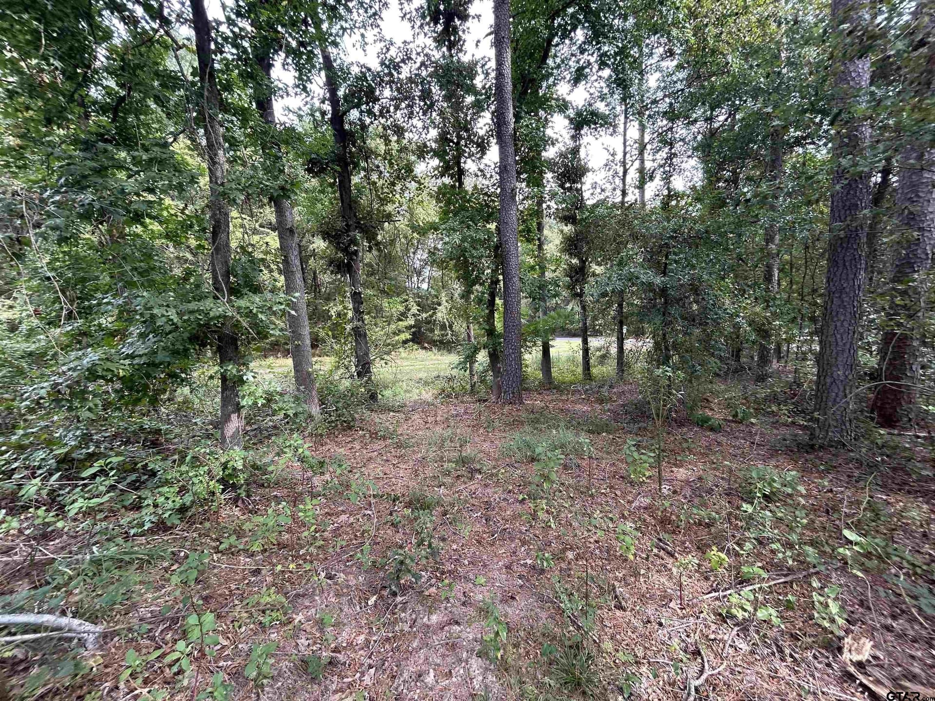 0.29 acres in Franklin County - photo 22