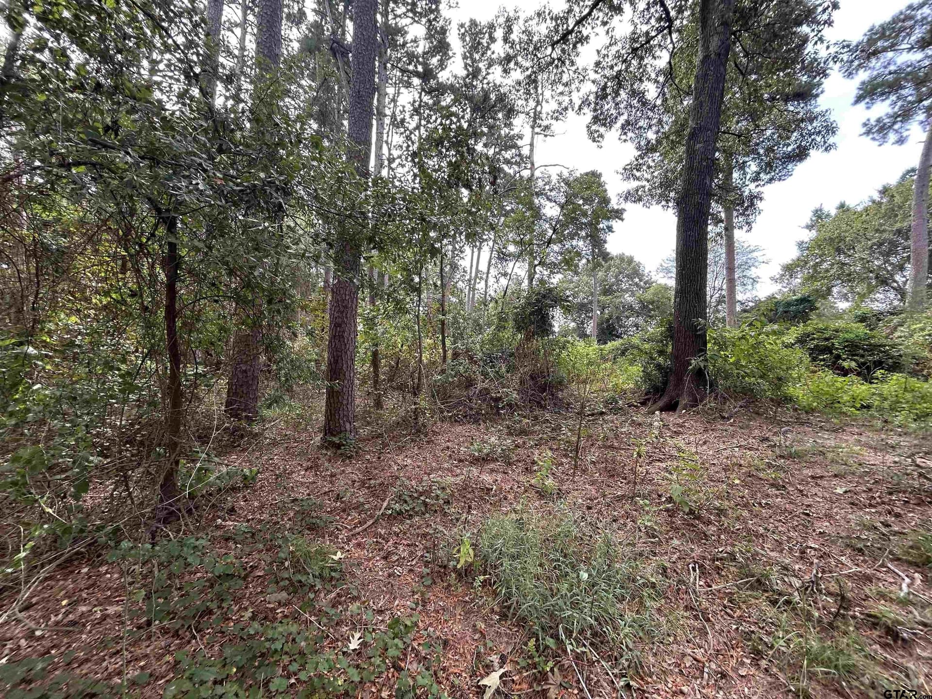 0.29 acres in Franklin County - photo 23