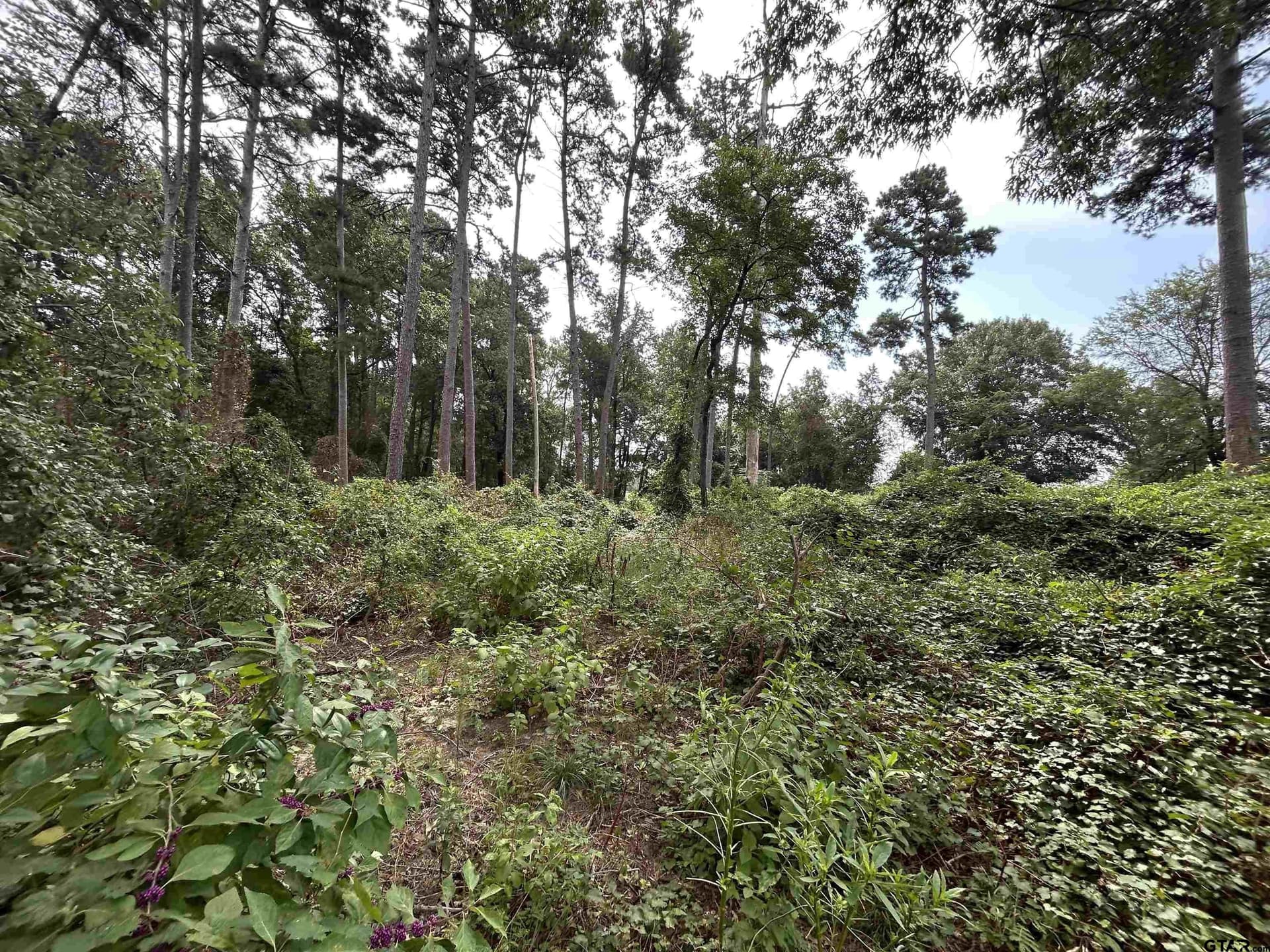 0.29 acres in Franklin County - photo 26